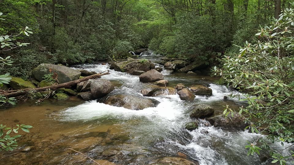 Hike to Jones Gap Falls