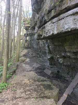 Hike the Limestone Bluffs at High Cliff