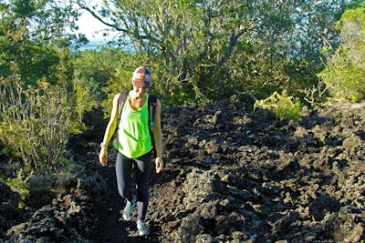 Hike the Summit Track on Rangitoto Island