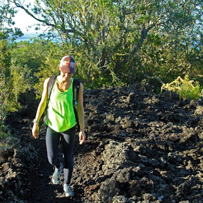 Hike the Summit Track on Rangitoto Island