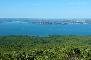 Hike the Summit Track on Rangitoto Island