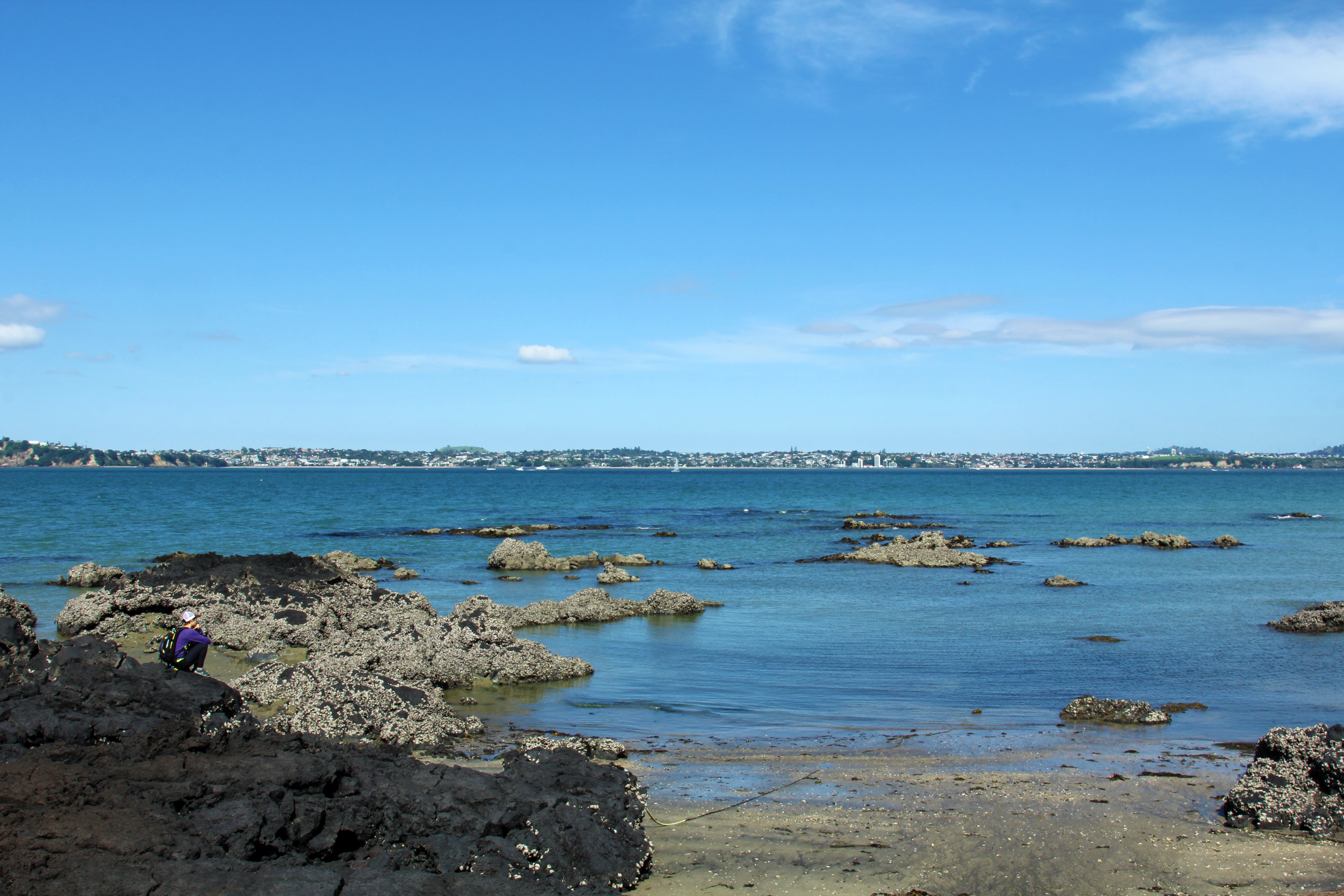 Hike the Summit Track on Rangitoto Island