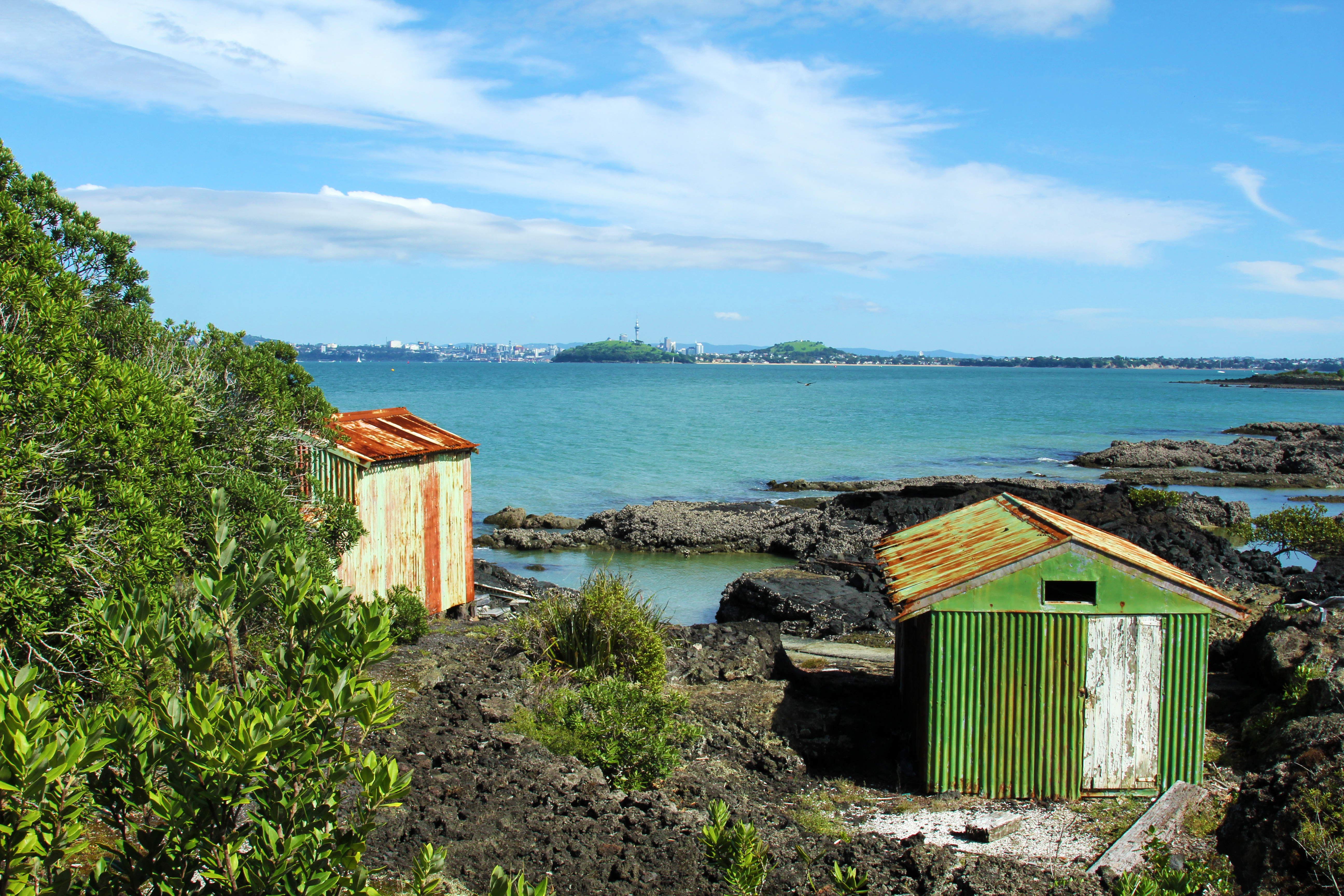 Hike the Summit Track on Rangitoto Island