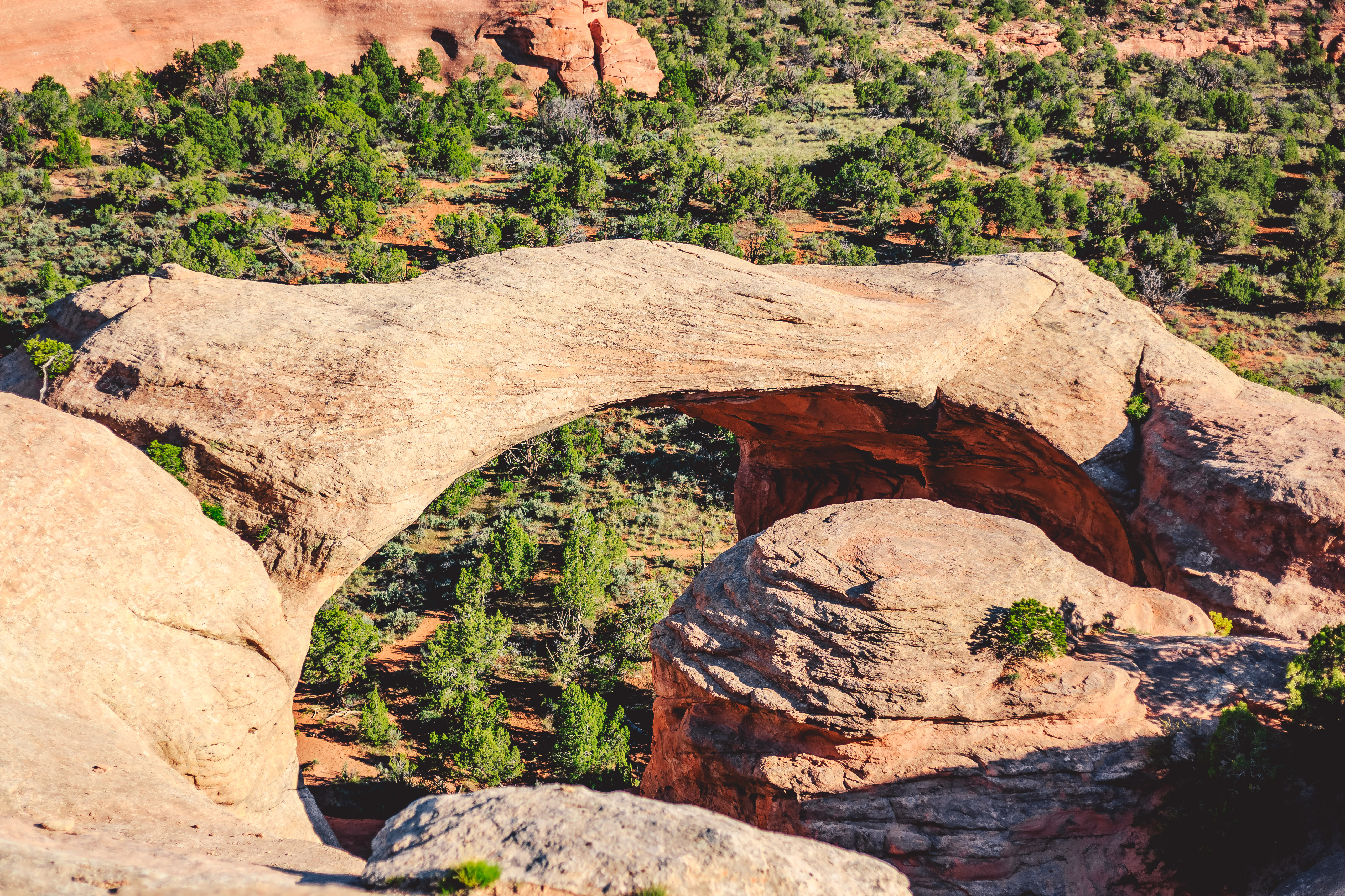 Rattlesnake Arches Upper Trail