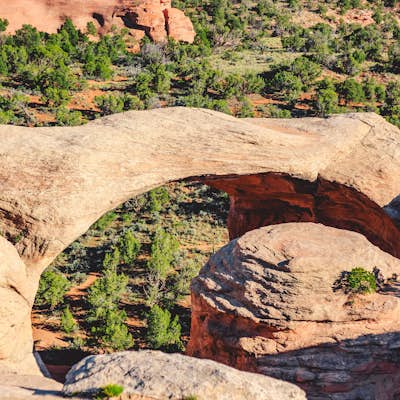 Hike the Rattlesnake Arches Trail in Black Ridge Wilderness