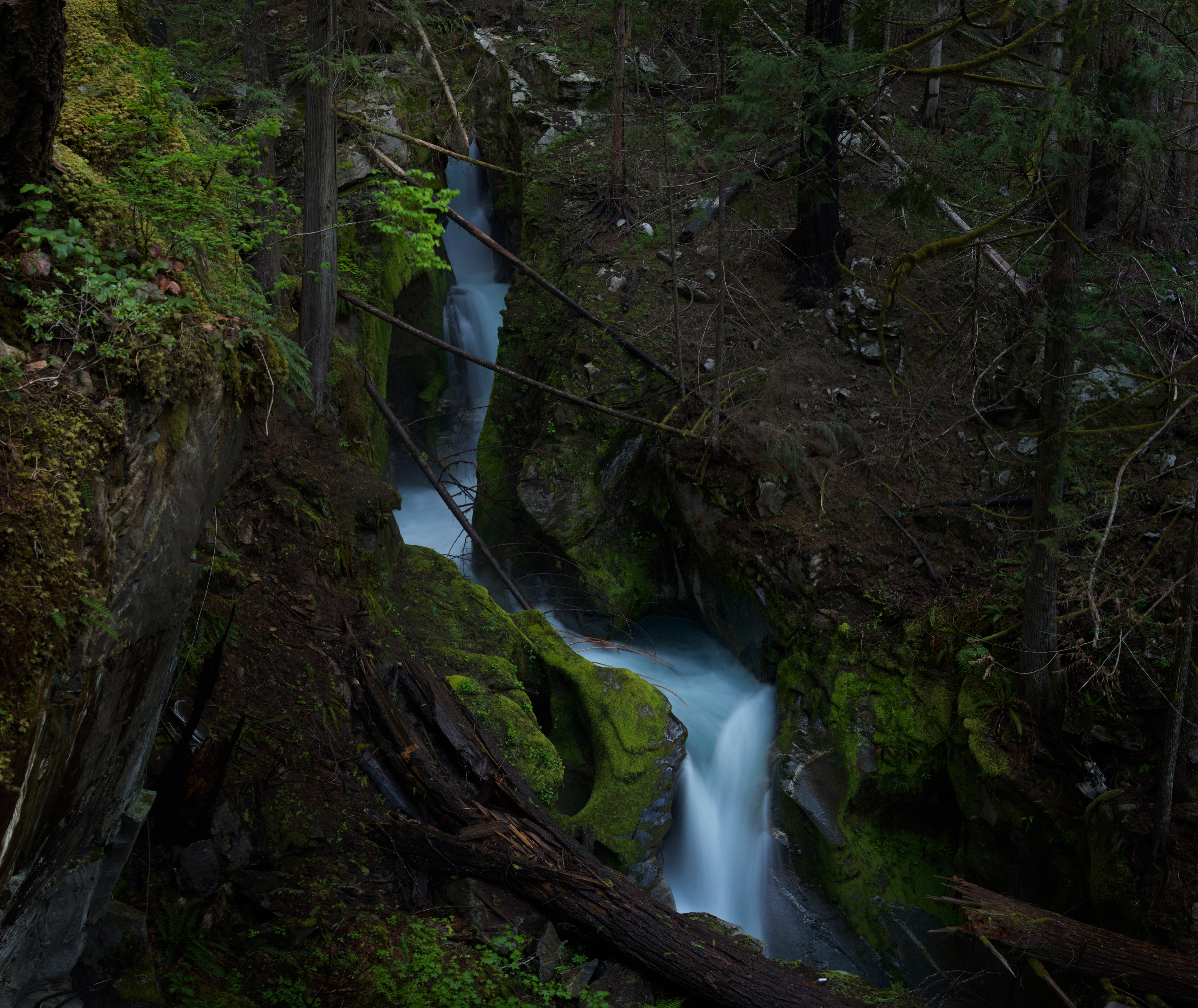 Photograph Ladder Creek Falls