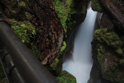 Photograph Ladder Creek Falls