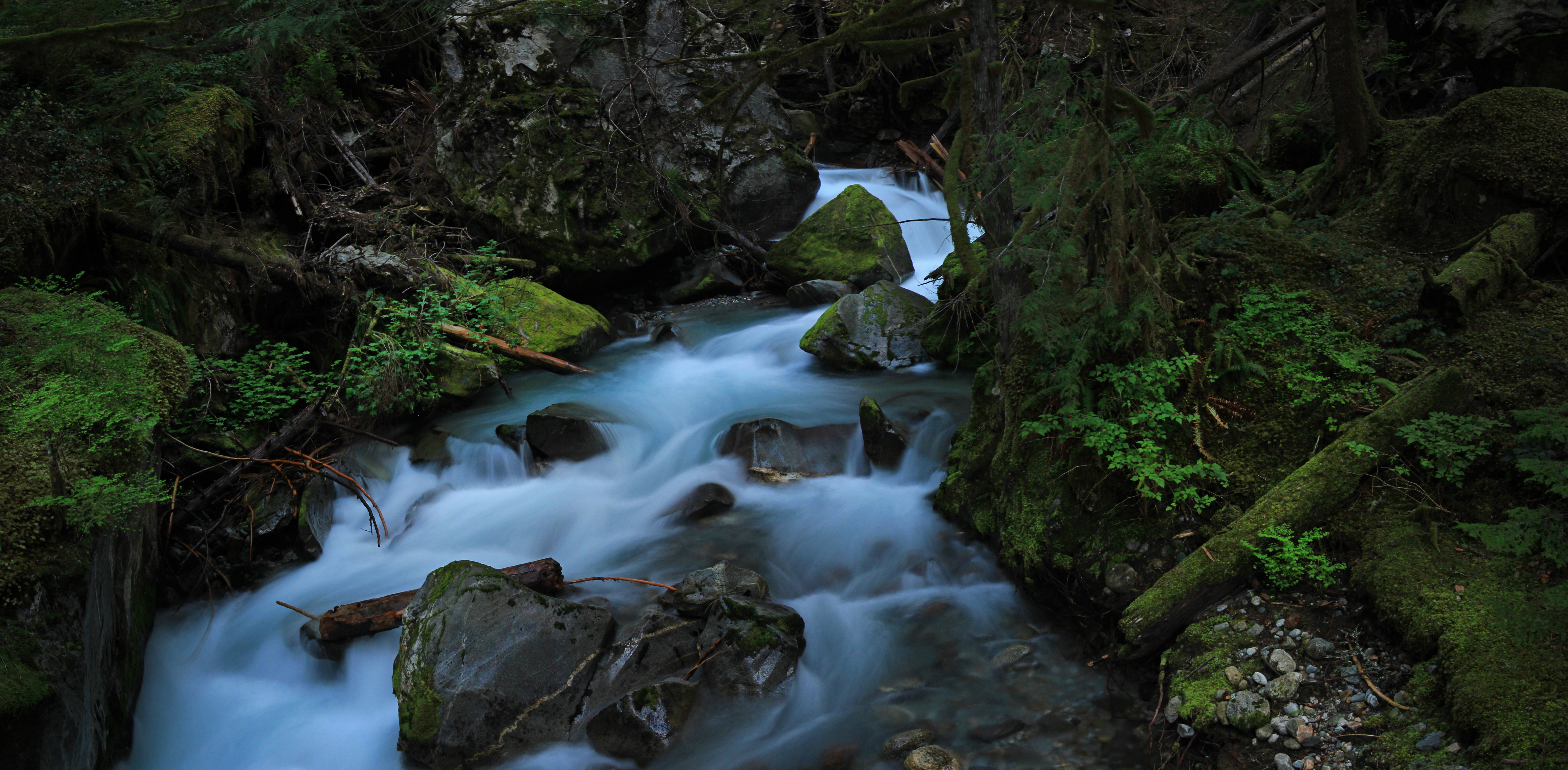 Photograph Ladder Creek Falls