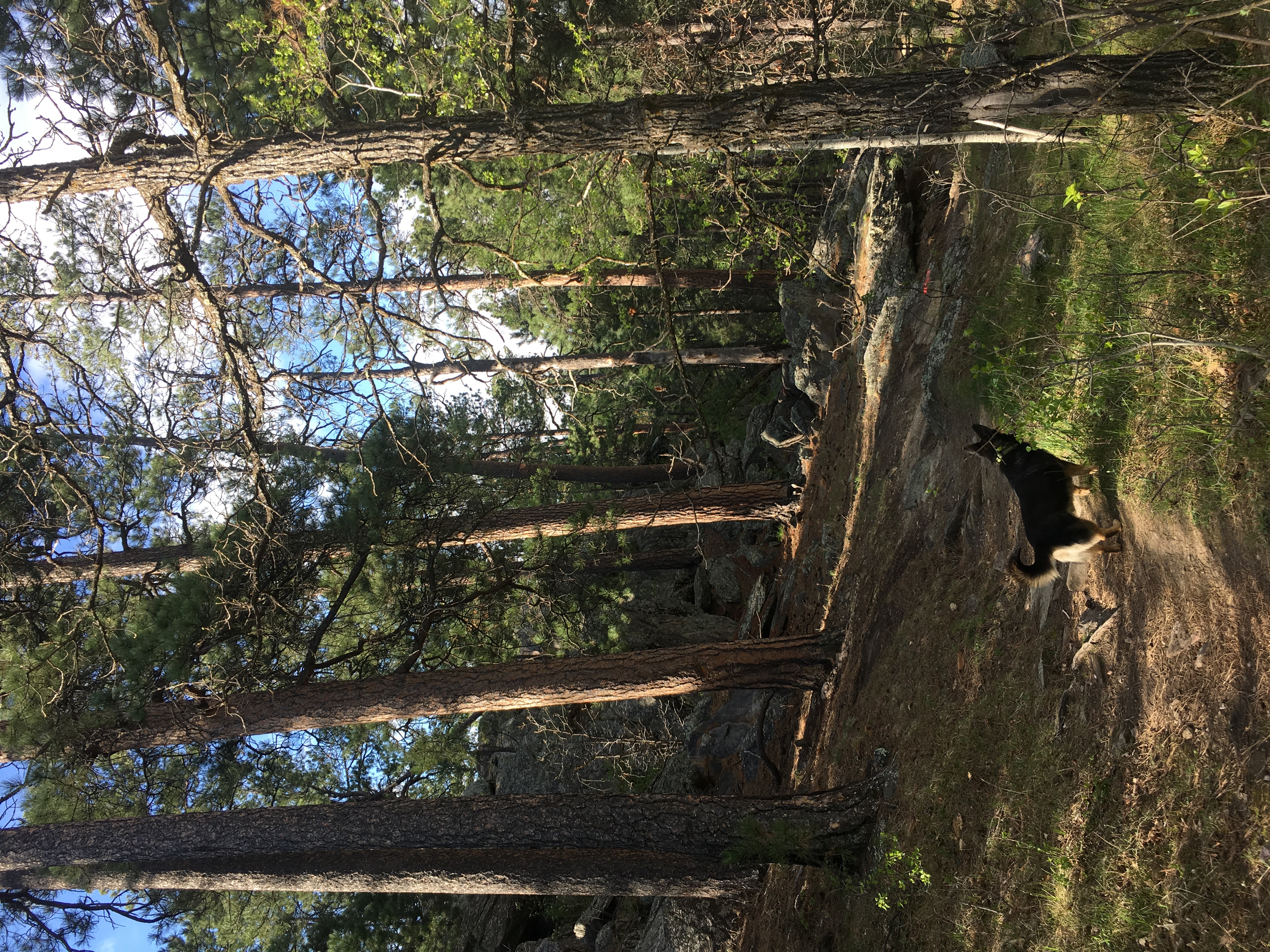 Hippie Hole