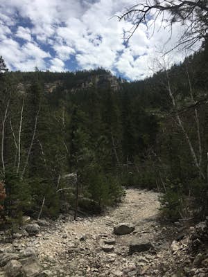 Hike Botany Canyon