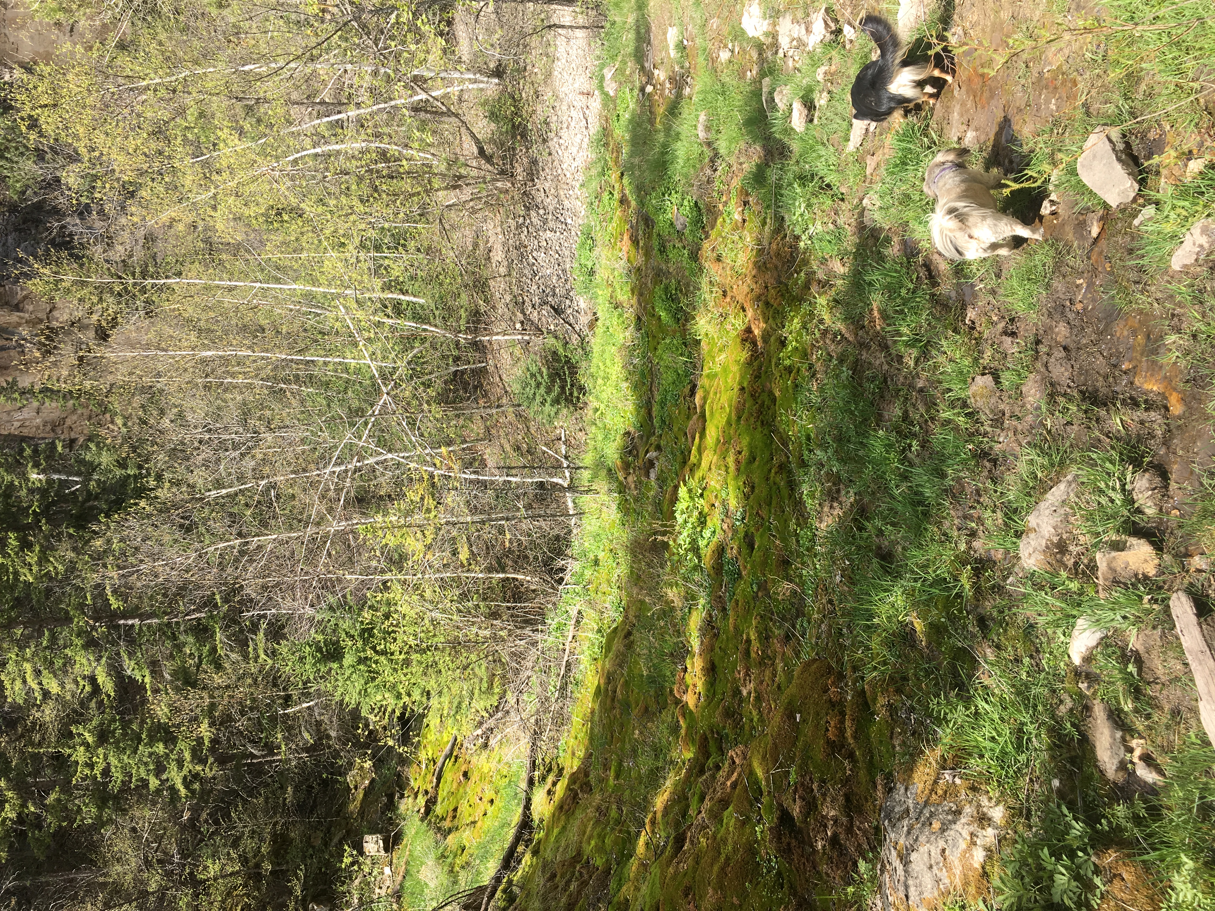 Hike Botany Canyon