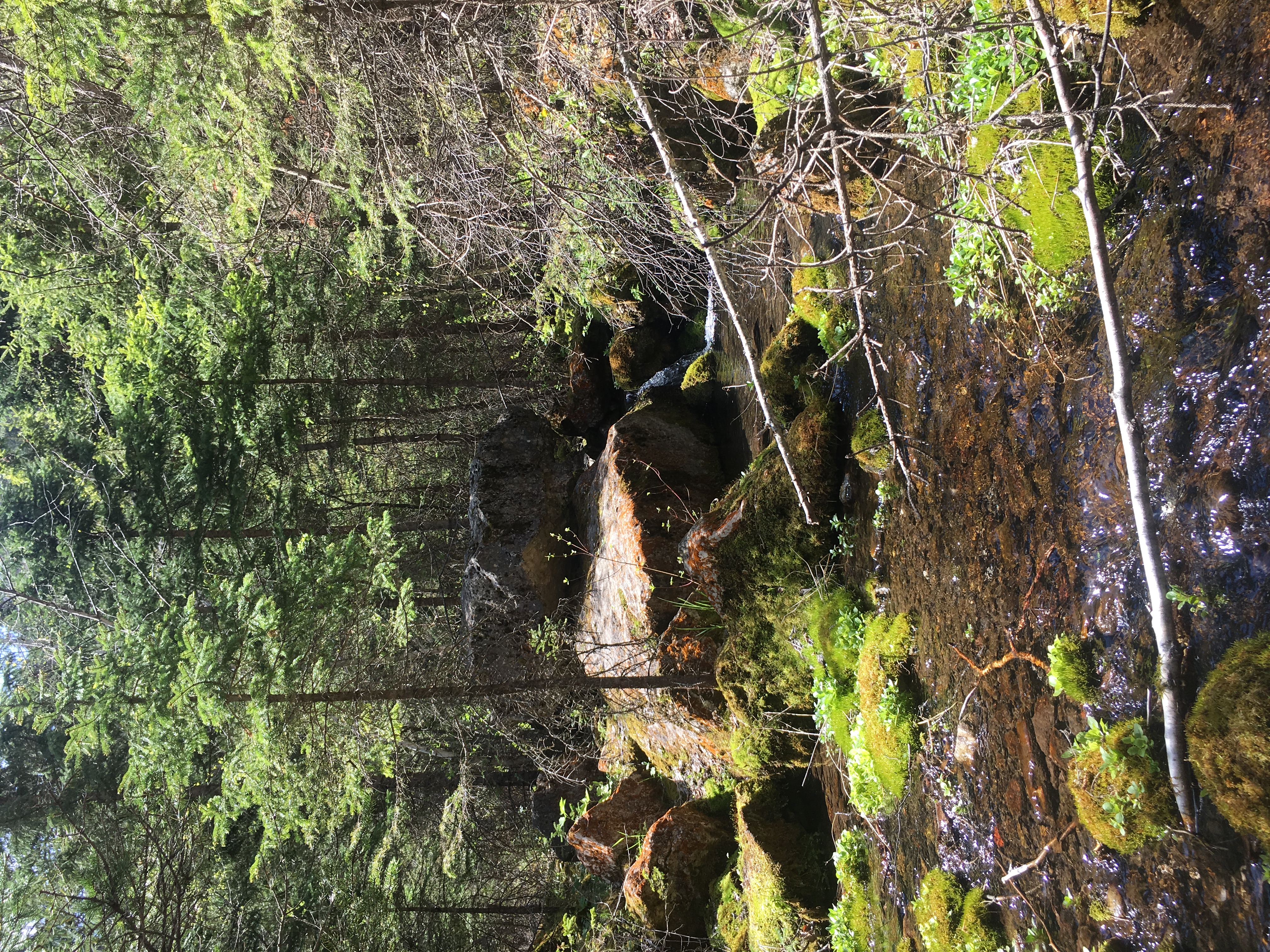 Hike Botany Canyon, Black Hawk, South Dakota