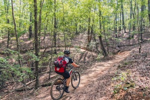 6 Ways to Explore Georgia on Your Bike