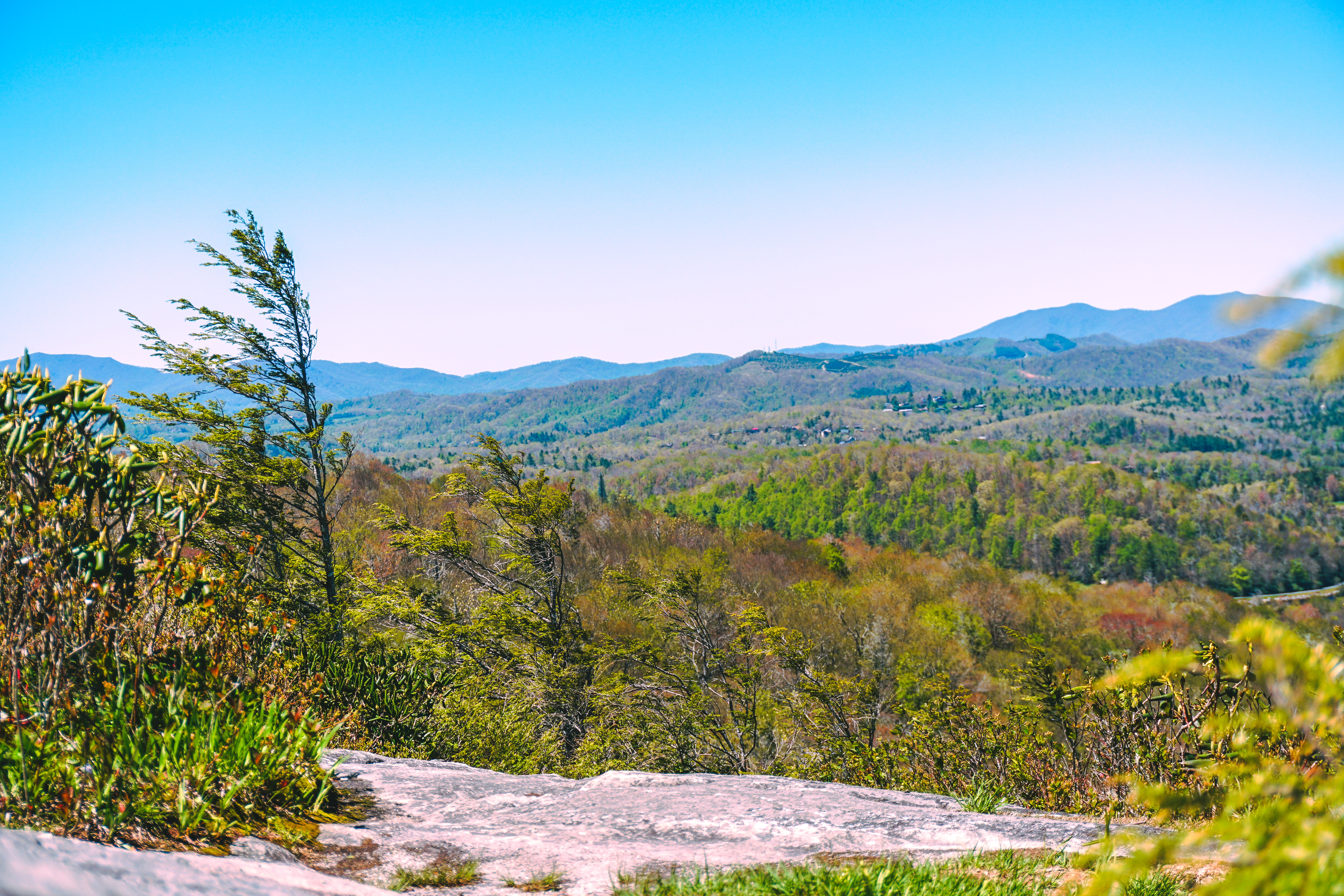 Hike the Flat Rock Trail (NC)