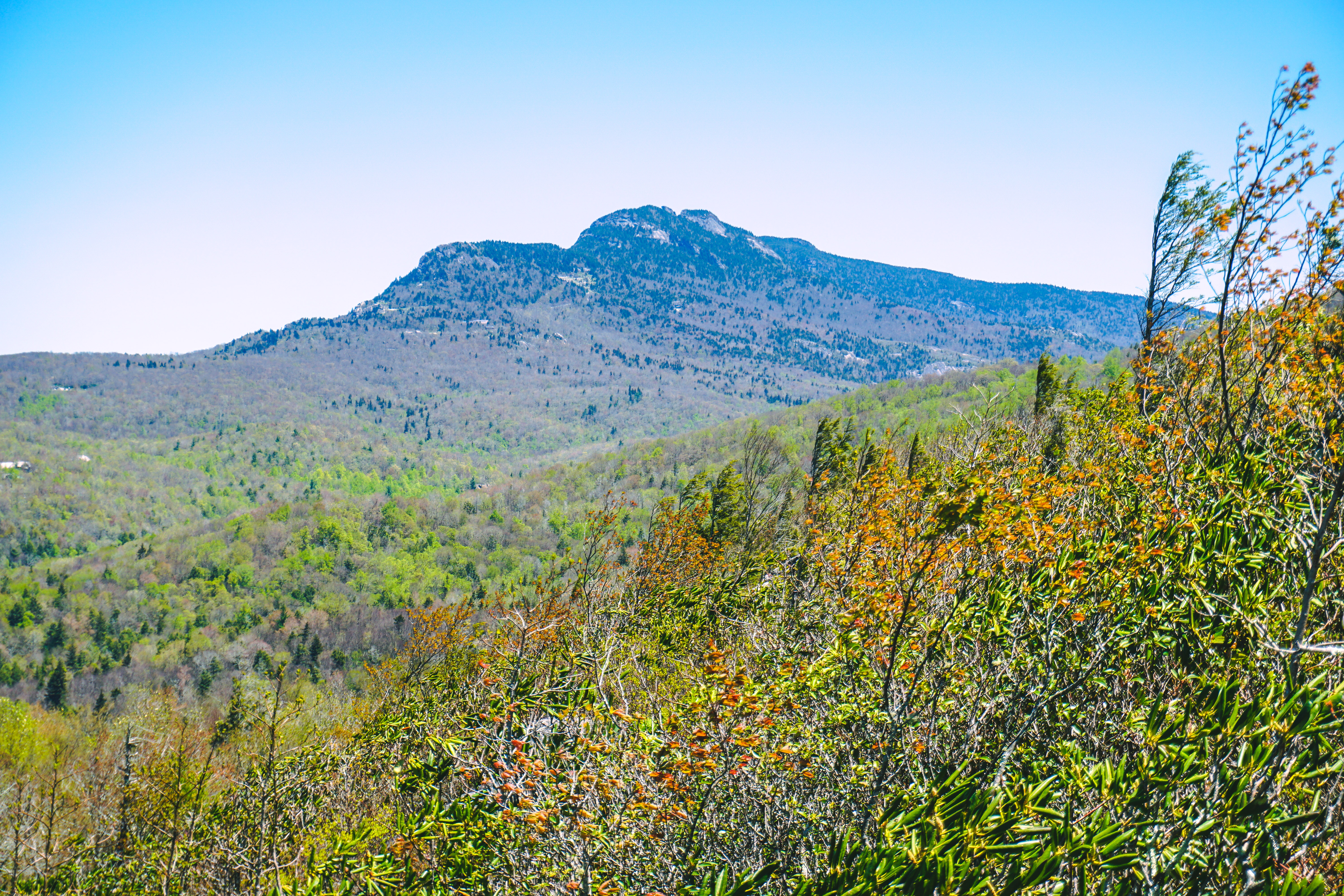 Hike the Flat Rock Trail (NC)
