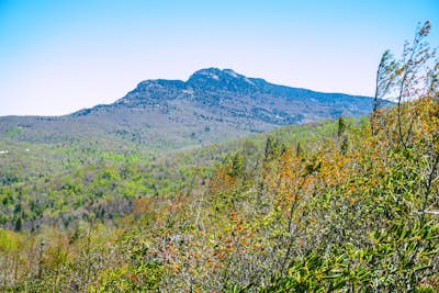 Hike the Flat Rock Trail (NC)