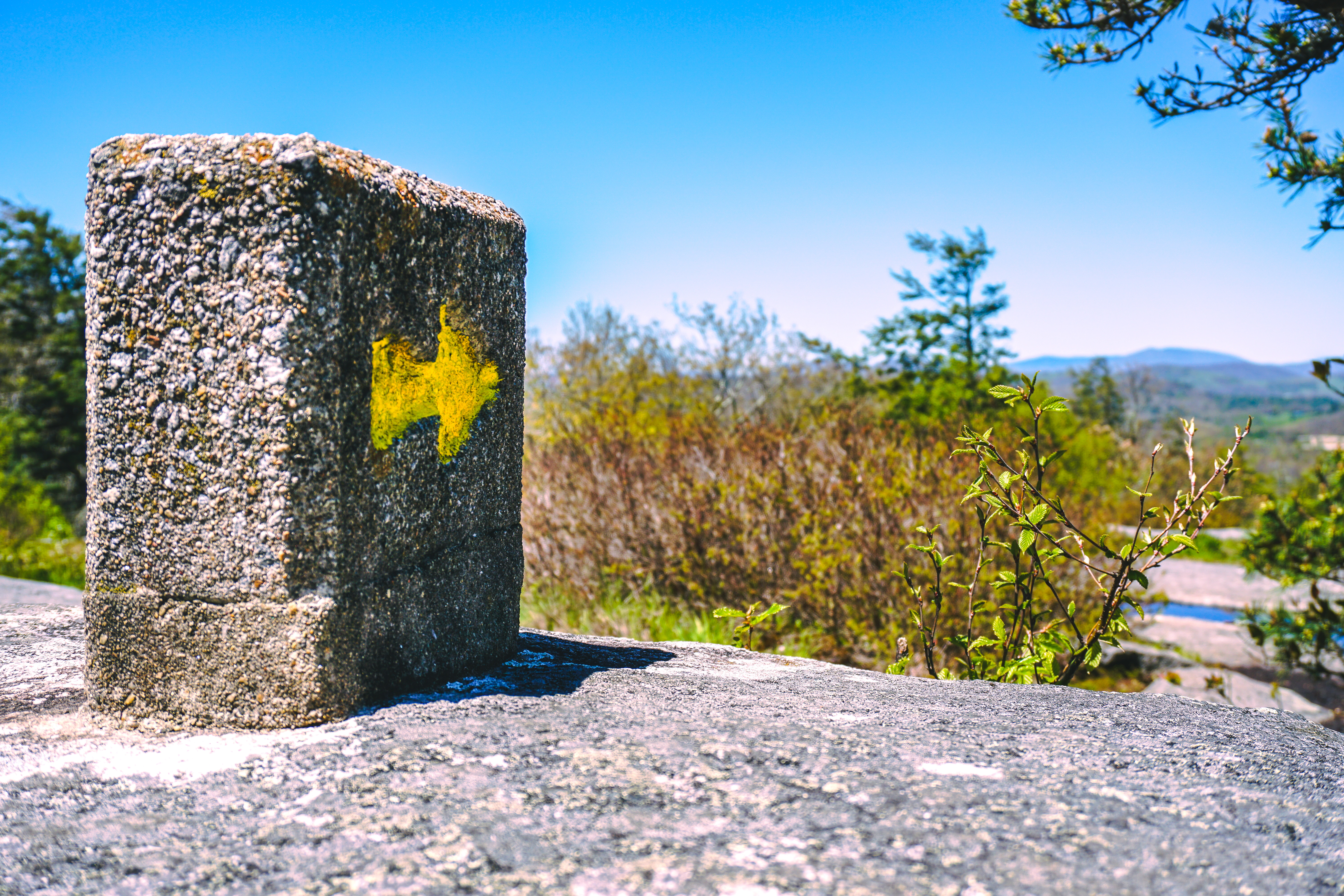 Hike the Flat Rock Trail (NC)