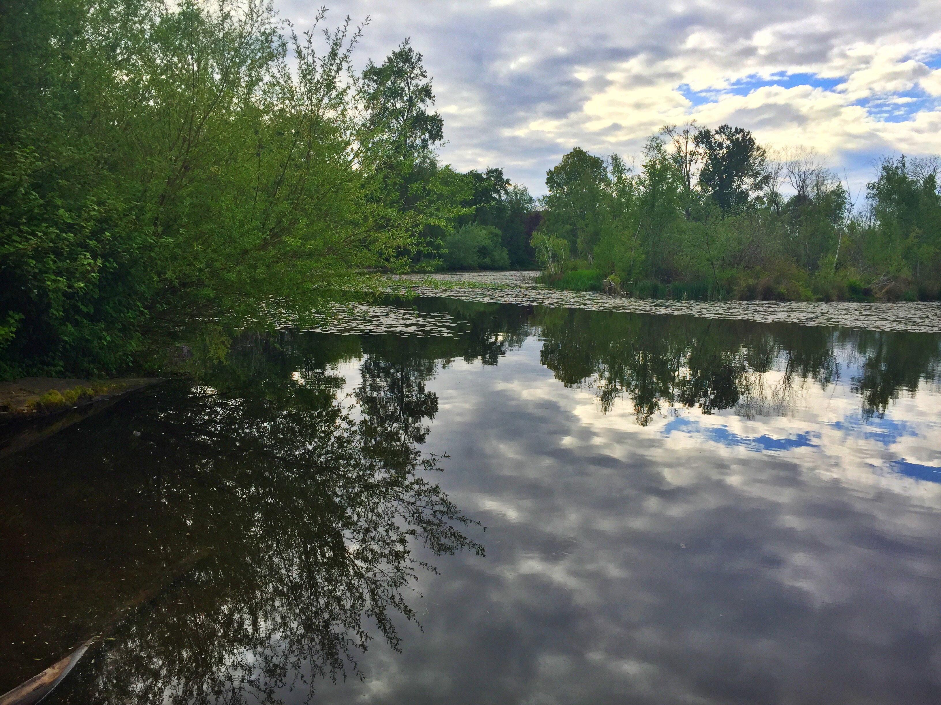 Washington Park Arboretum Loop Trail