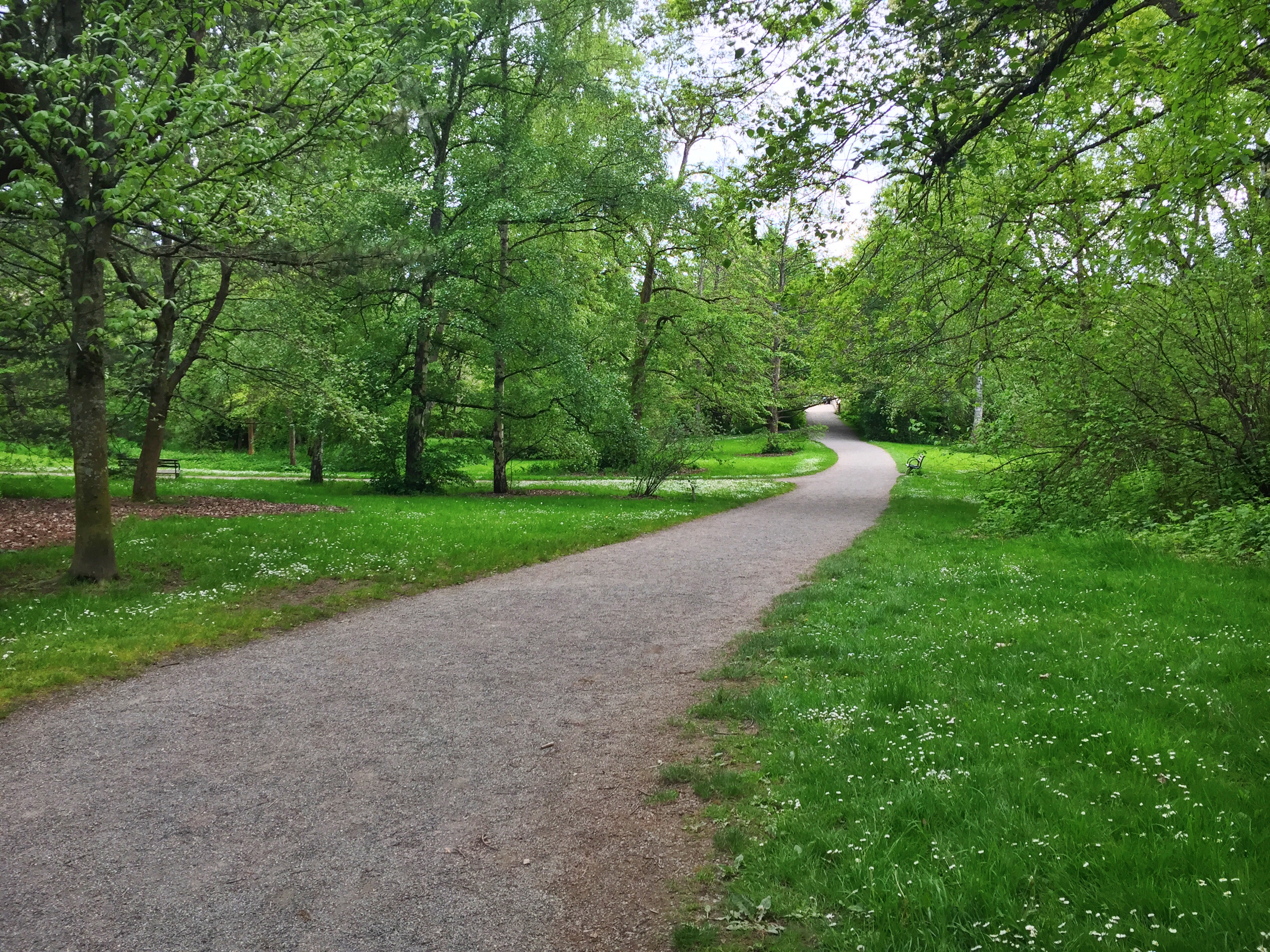 Washington Park Arboretum Loop Trail