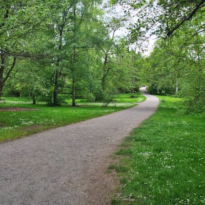 Washington Park Arboretum Loop Trail