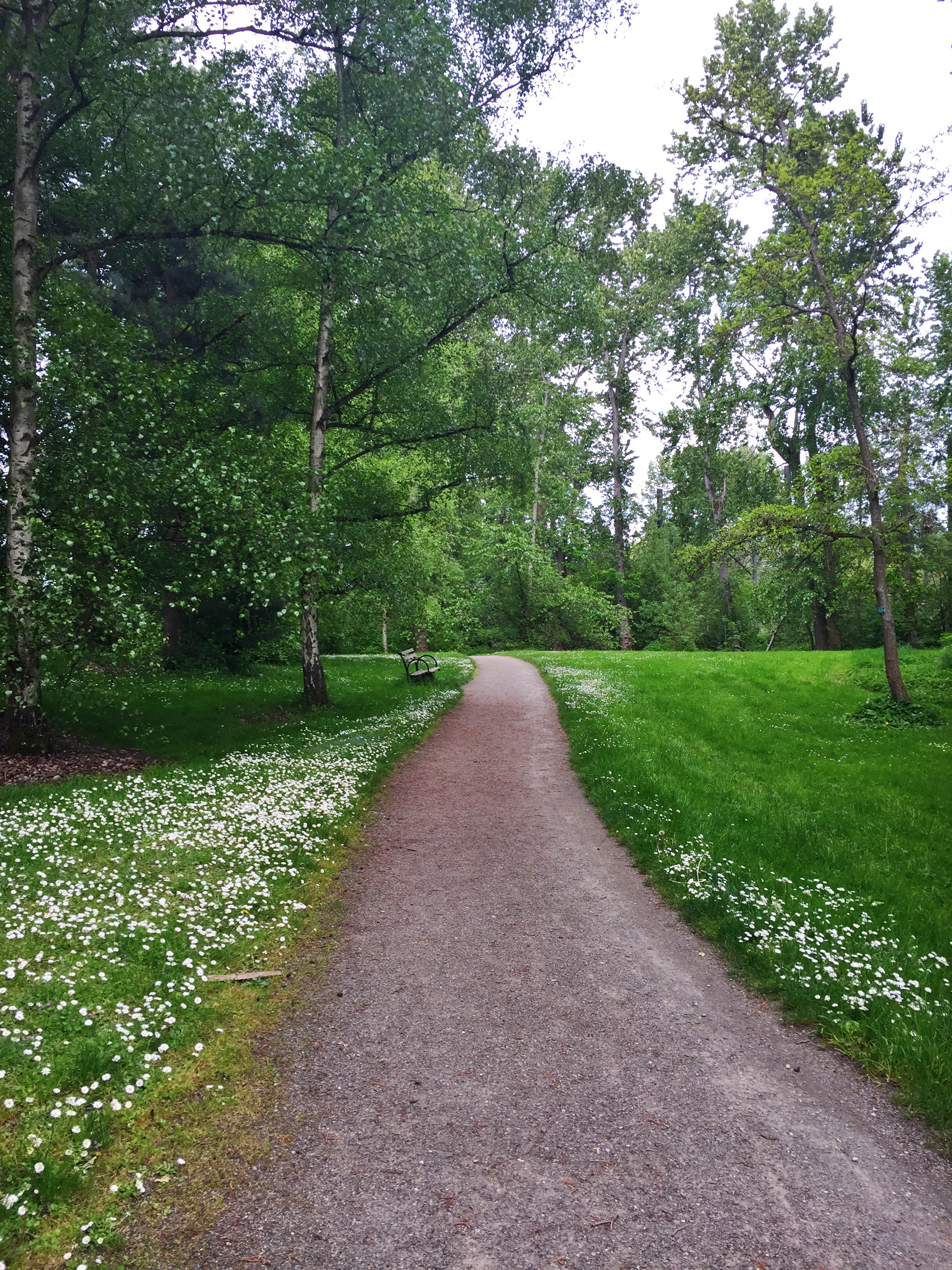 Washington Park Arboretum Loop Trail