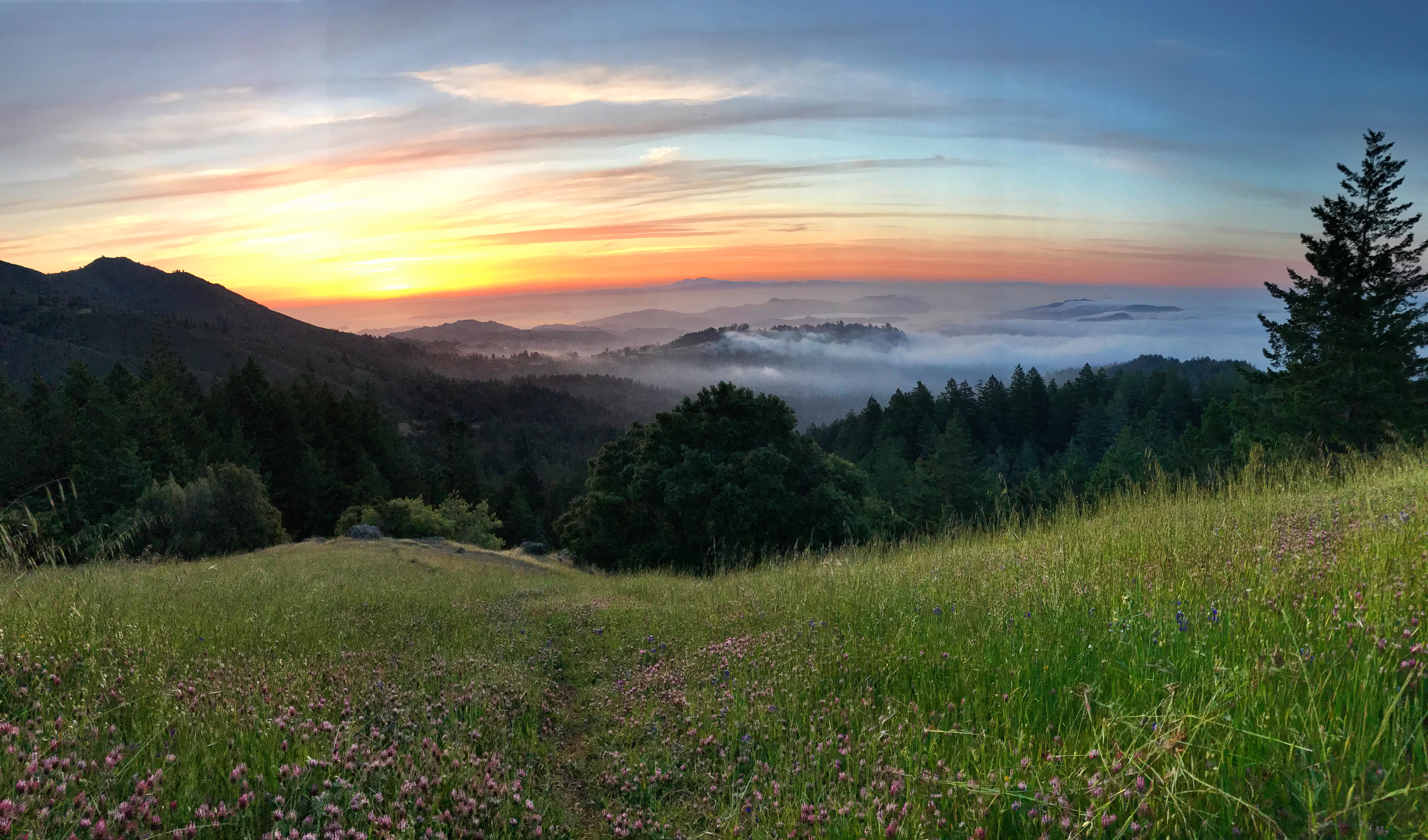 Camp at Bootjack Campground in Mount Tamalpais State Park
