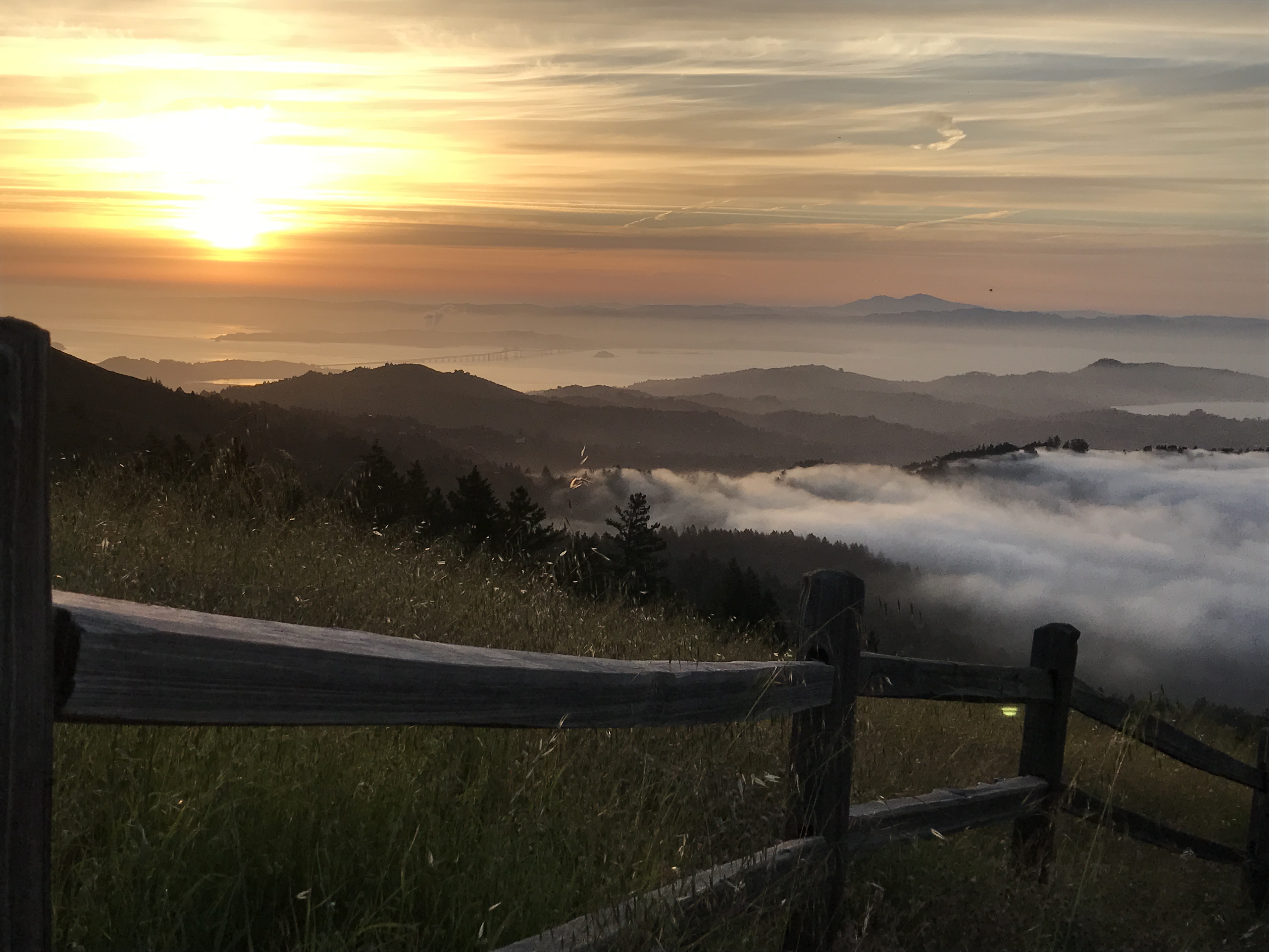 Camp at Bootjack Campground in Mount Tamalpais State Park