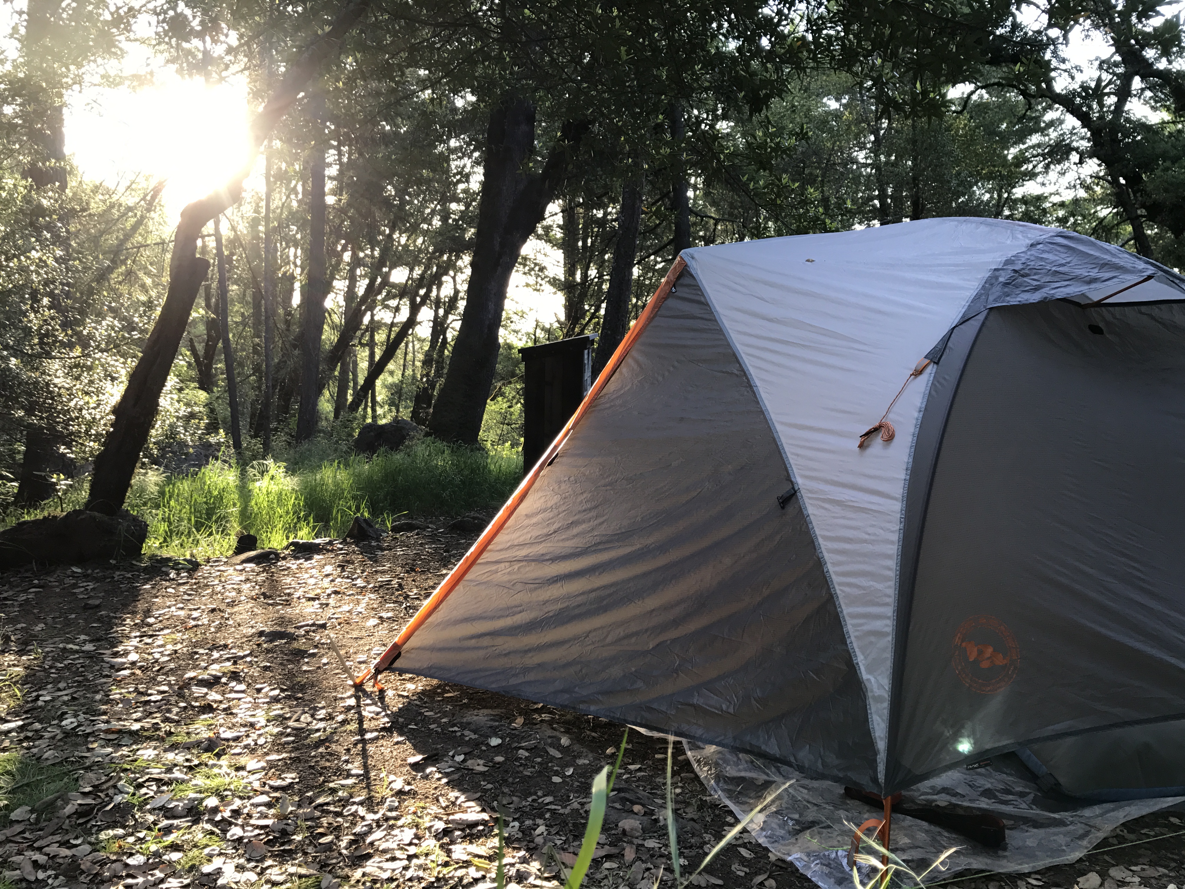 Camp at Bootjack Campground in Mount Tamalpais State Park