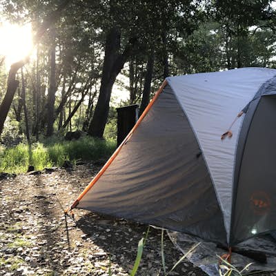 Camp at Bootjack Campground in Mount Tamalpais State Park