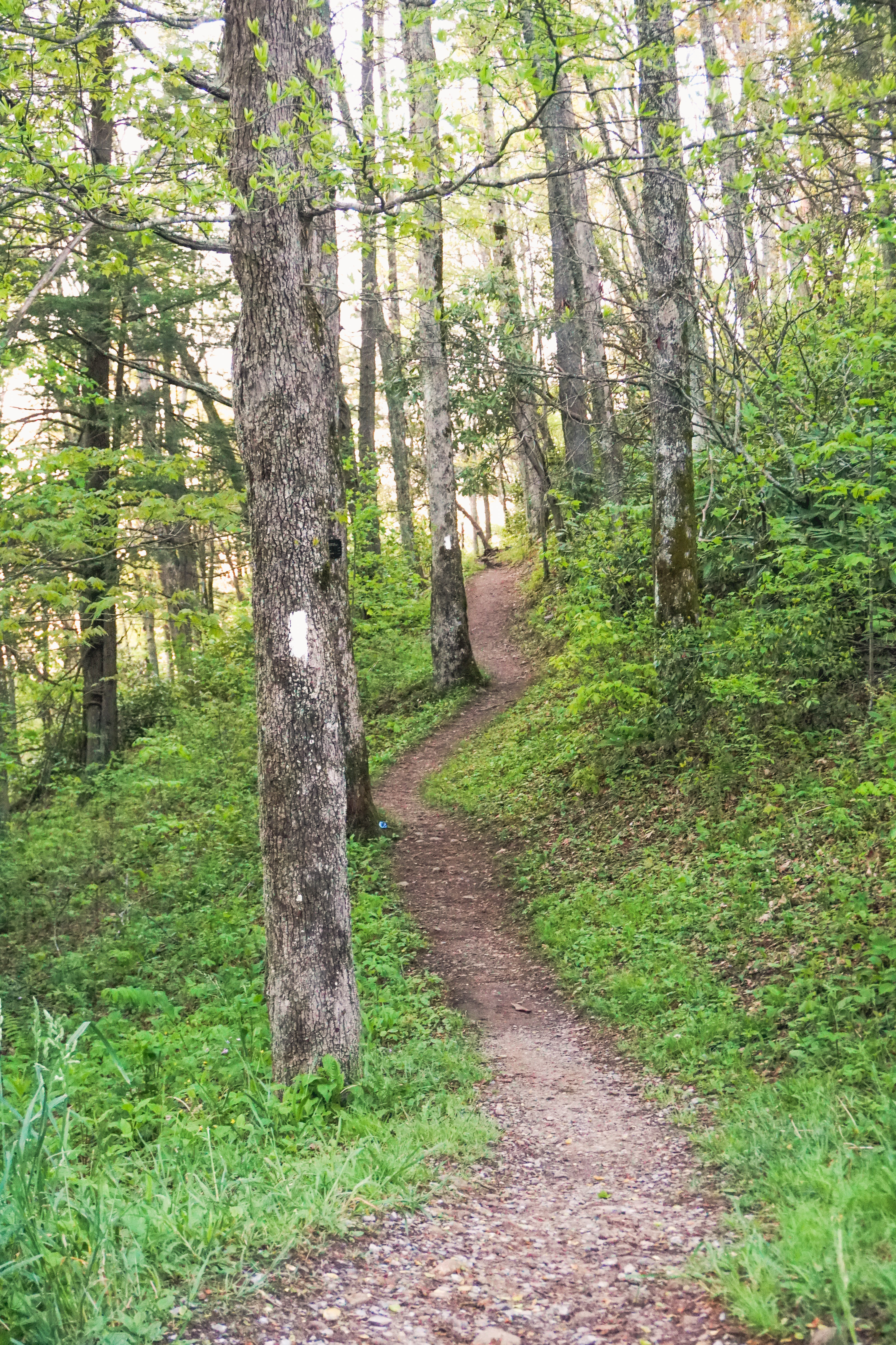 Hike to Beauty Spot Gap