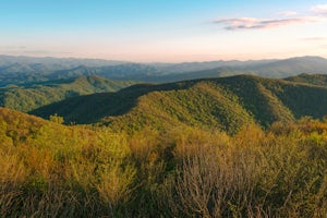 Camp at Unaka Mountain Overlook
