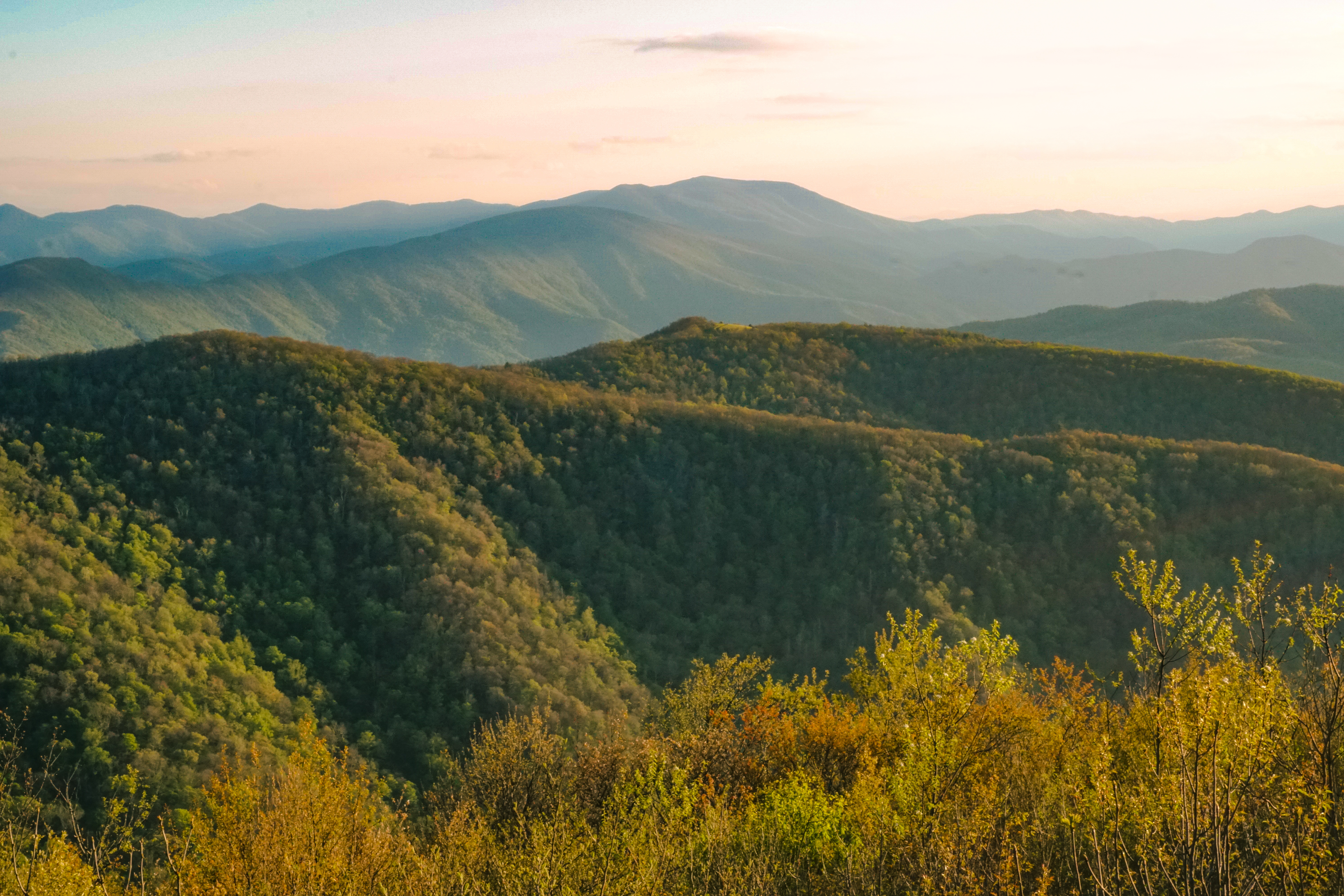 Camp at Unaka Mountain Overlook