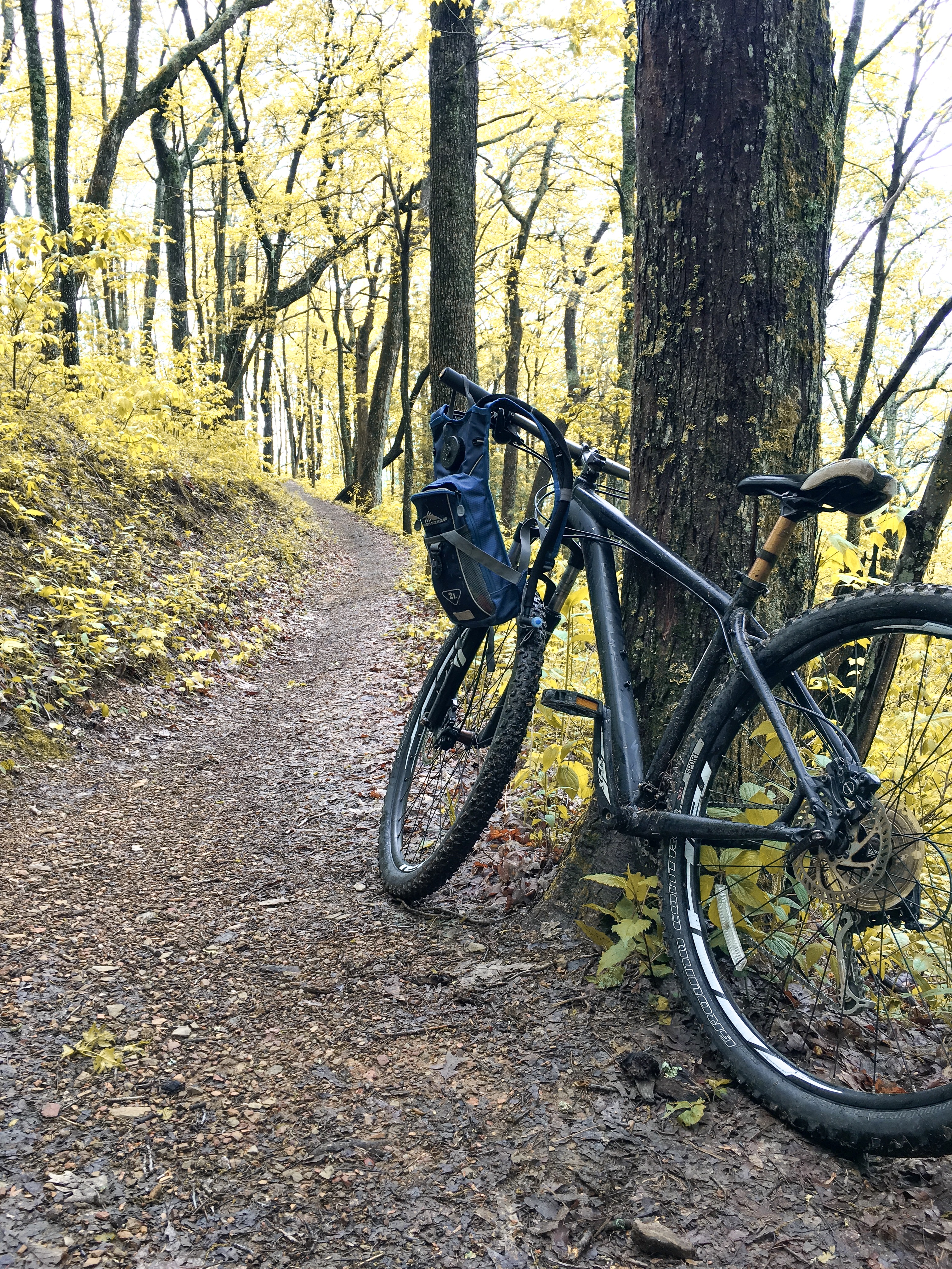 Pinnacle Mountain Trail