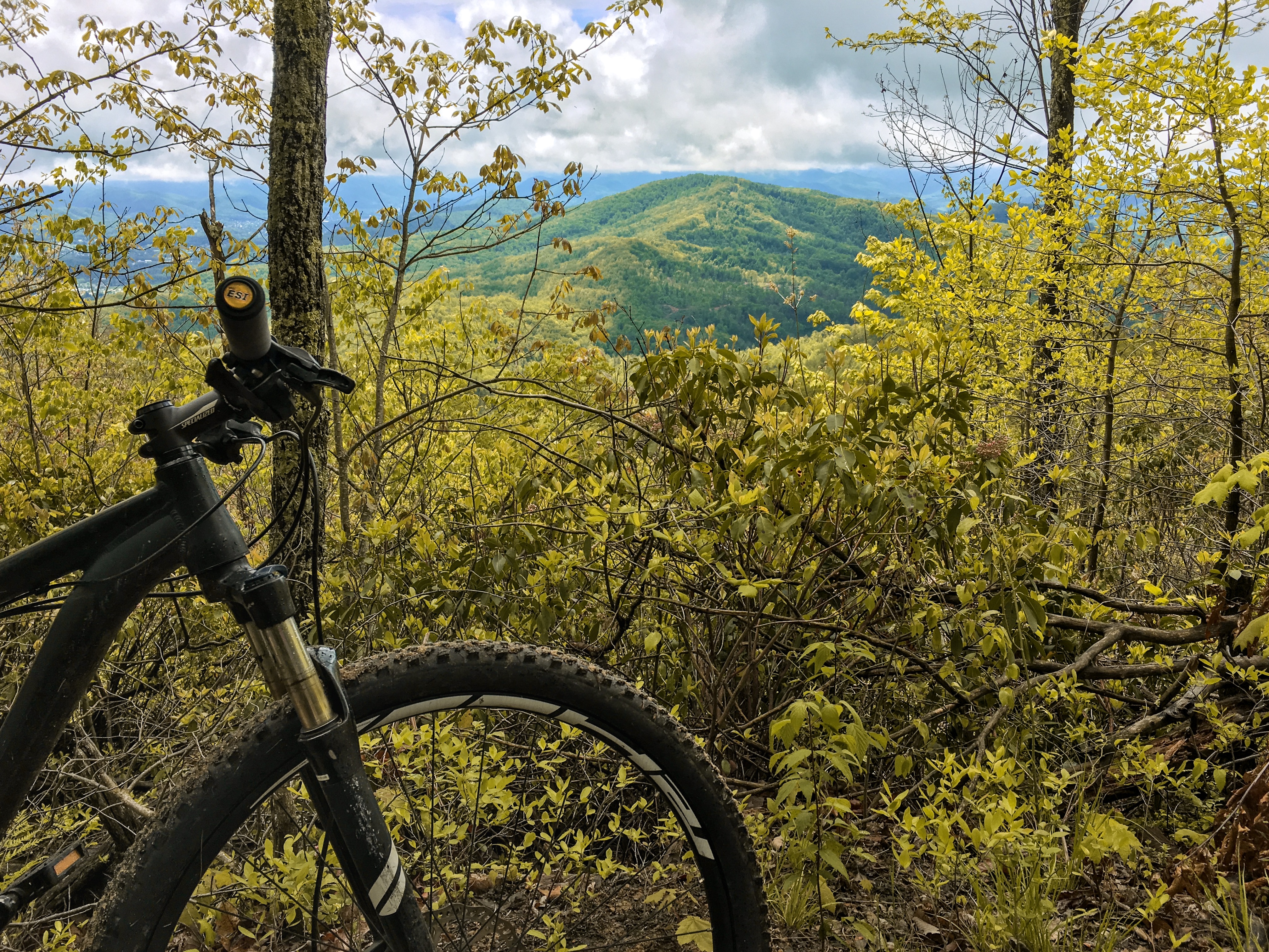 Pinnacle Mountain Trail