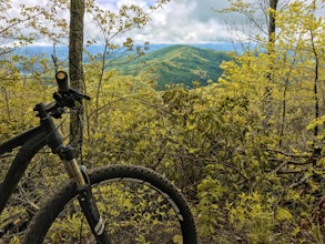 Pinnacle Mountain Trail