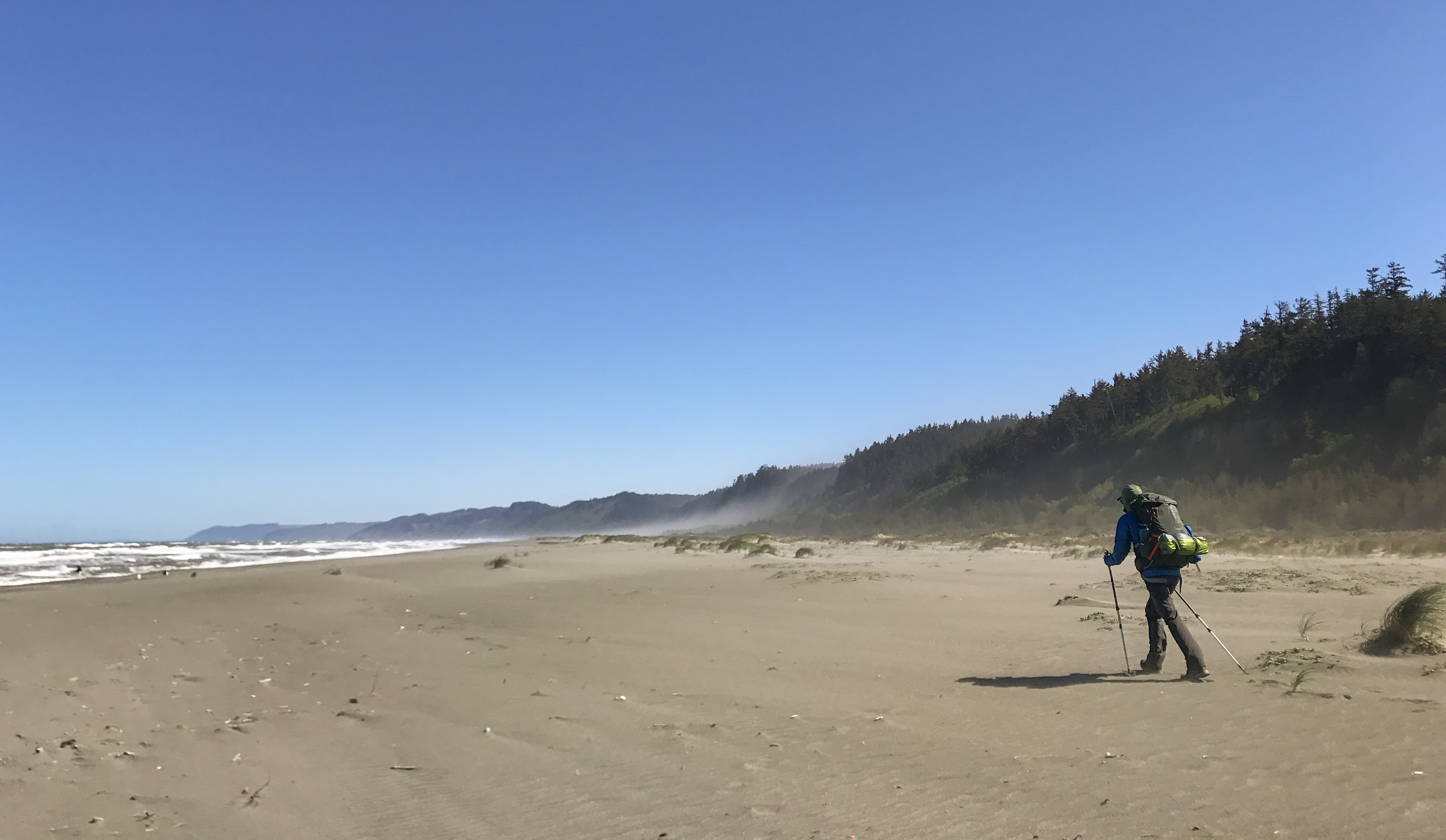 Prairie Creek Redwoods Loop