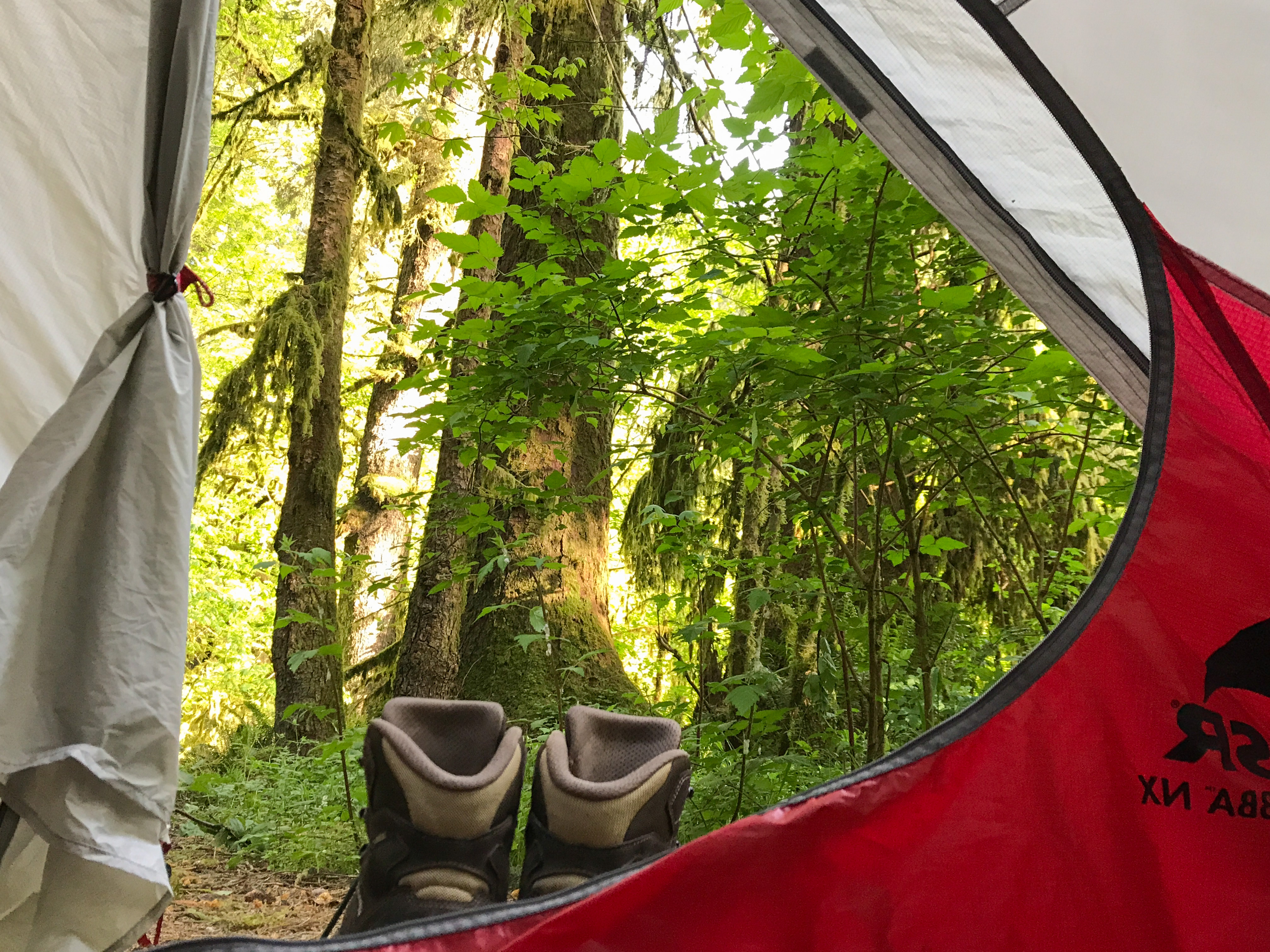 Prairie Creek Redwoods Loop