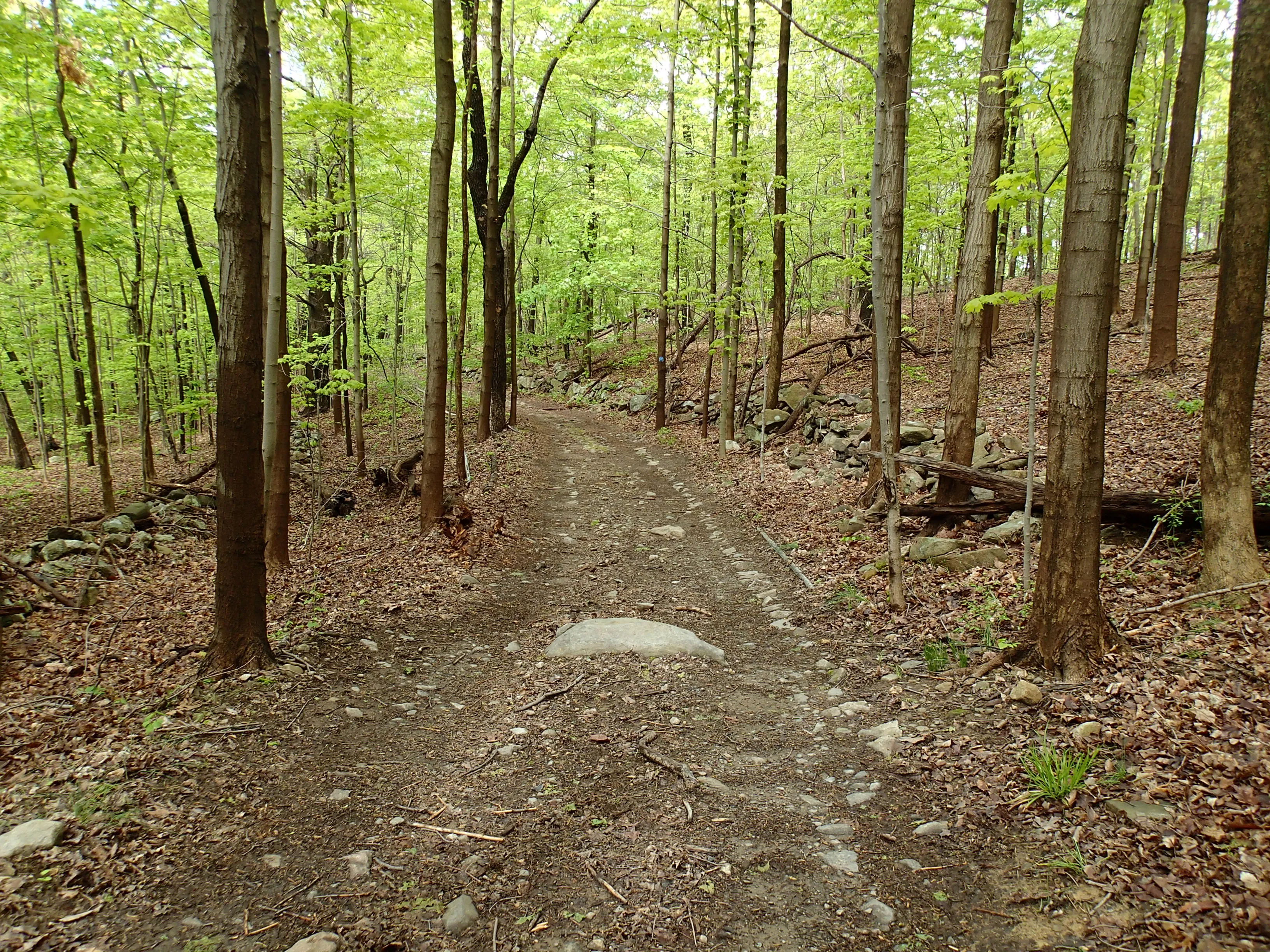 Sunset Point - South Beacon Mountain Loop
