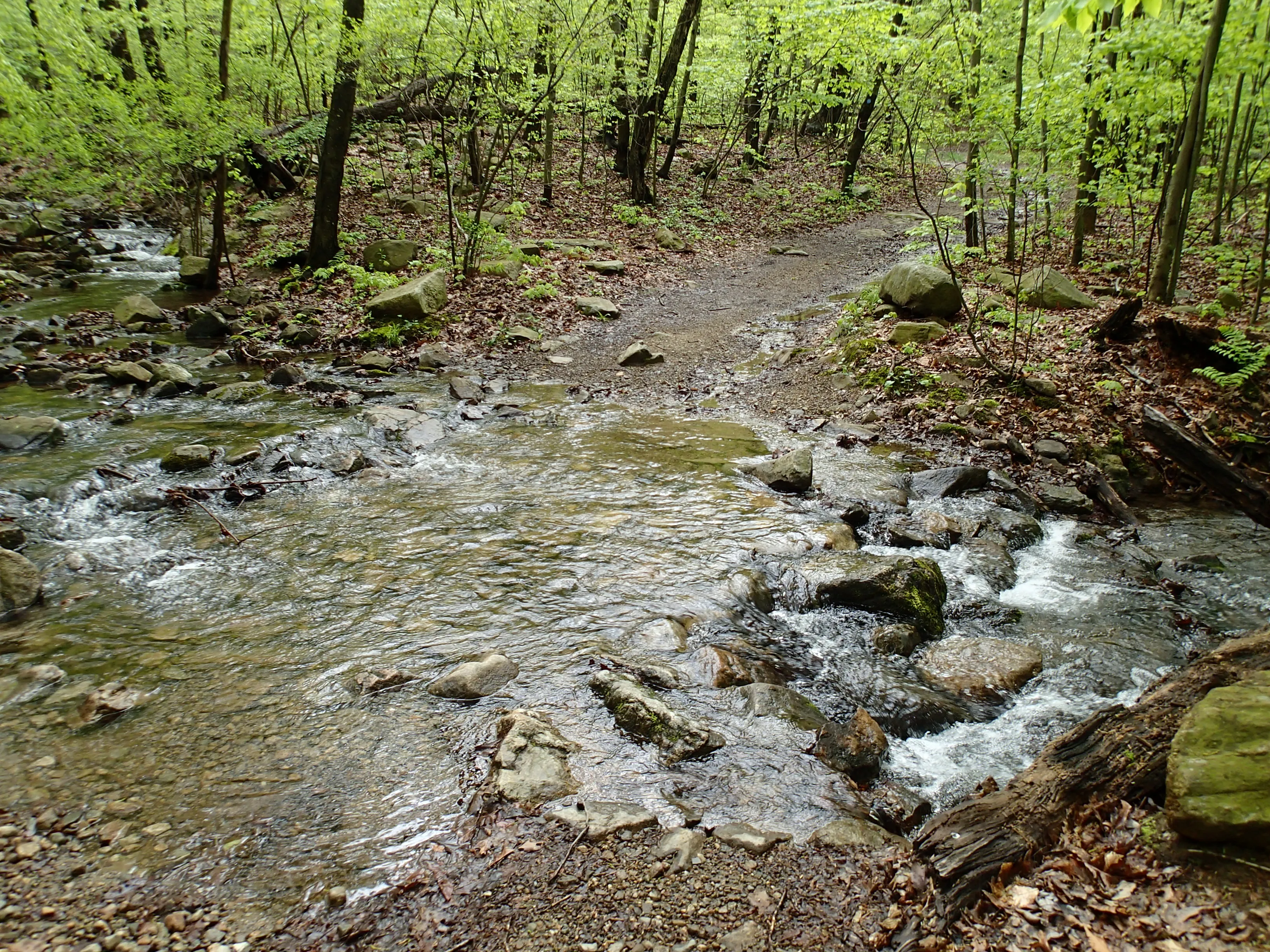 Sunset Point - South Beacon Mountain Loop
