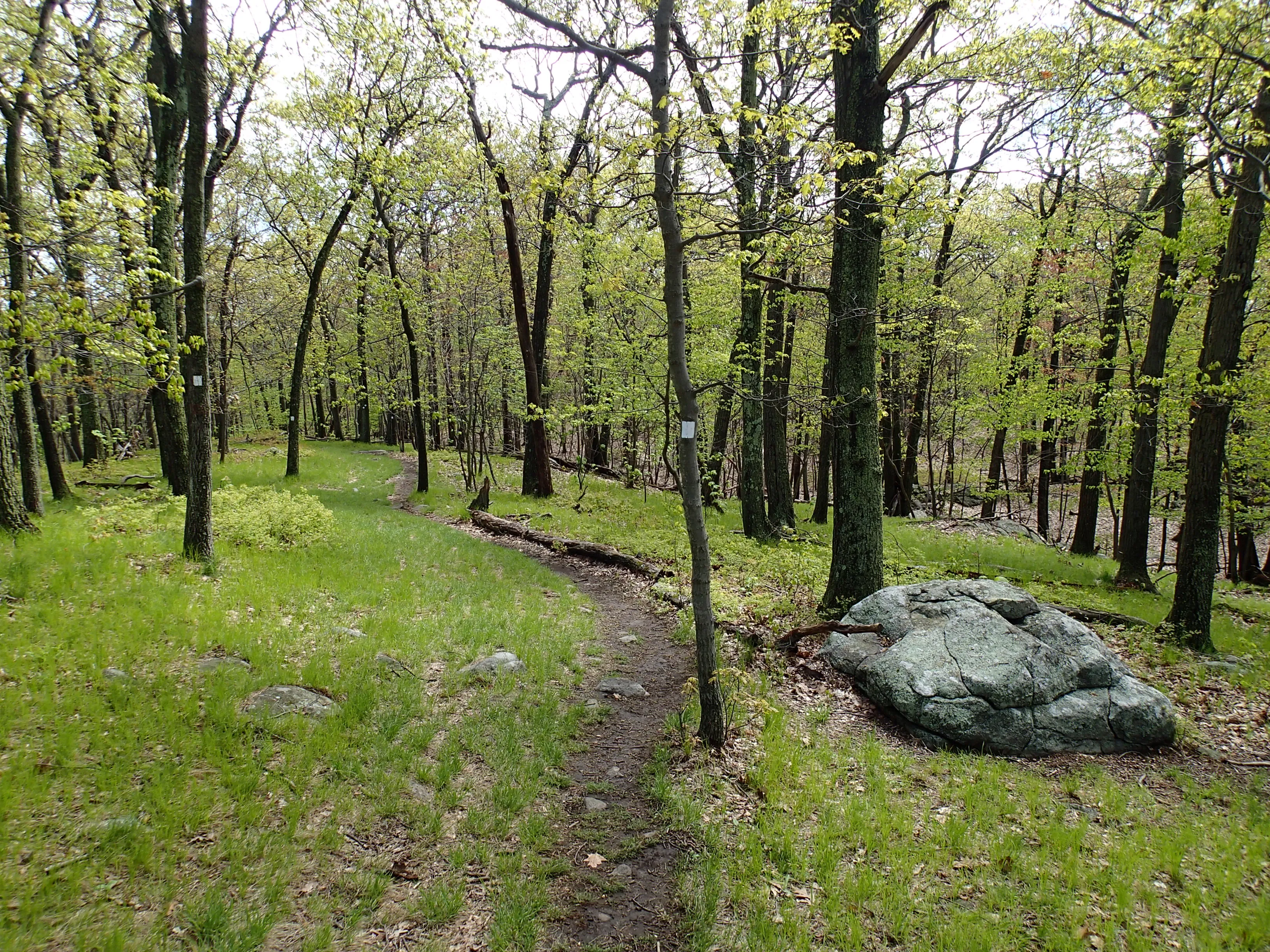 Sunset Point - South Beacon Mountain Loop