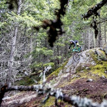 Mountain Bike "Out There" on Wedge Mountain