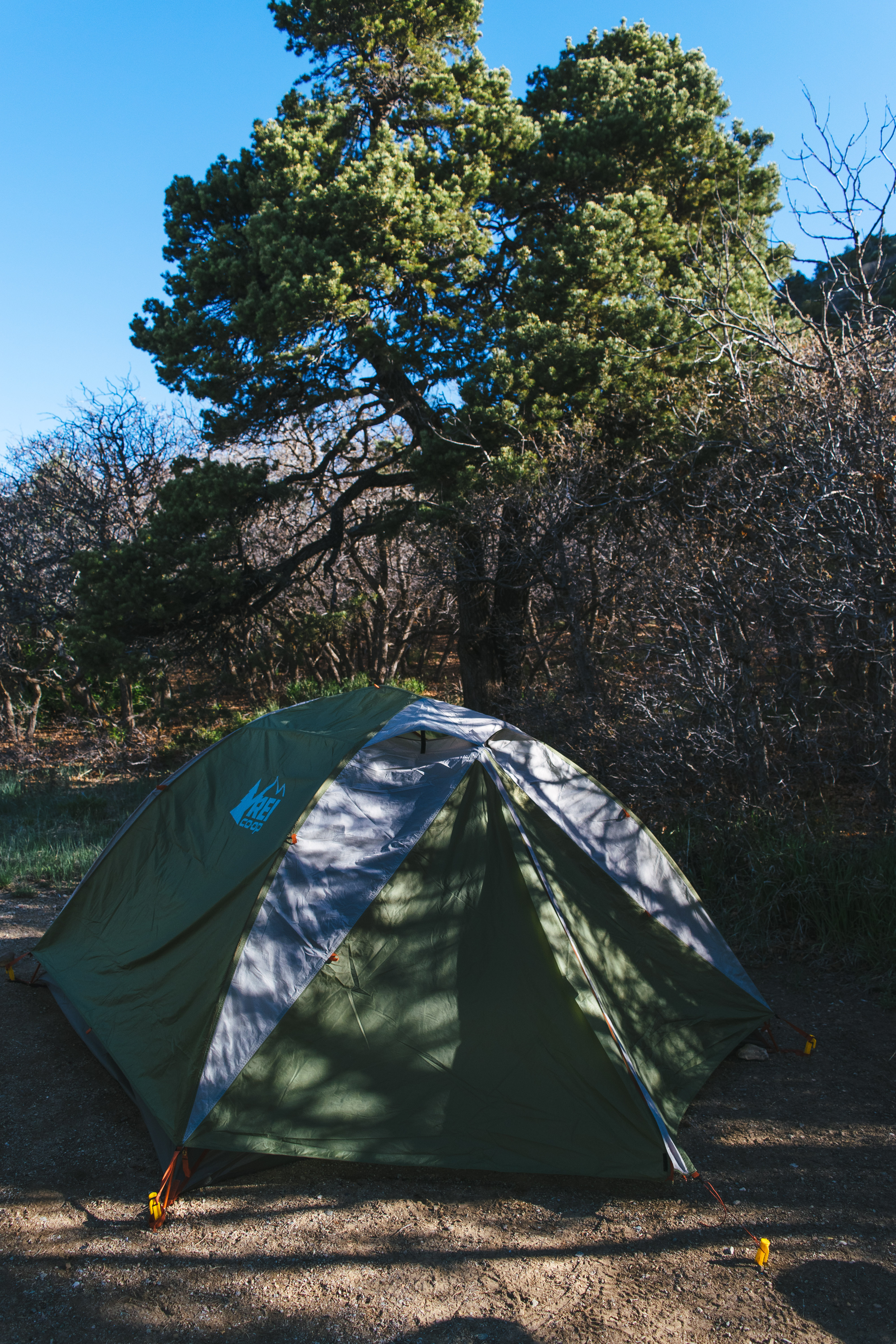 Camp at Morefield Campground