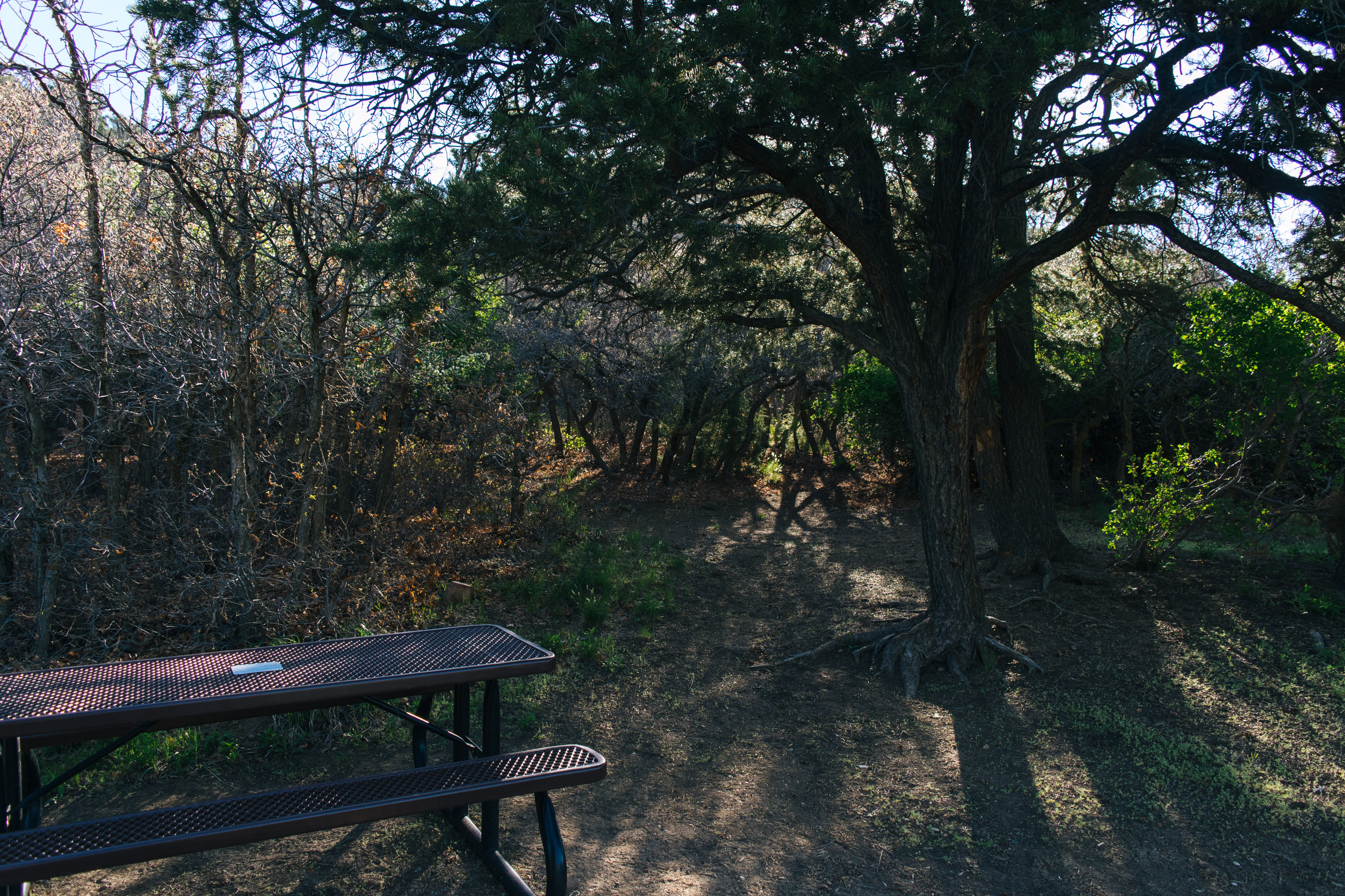 Camp at Morefield Campground