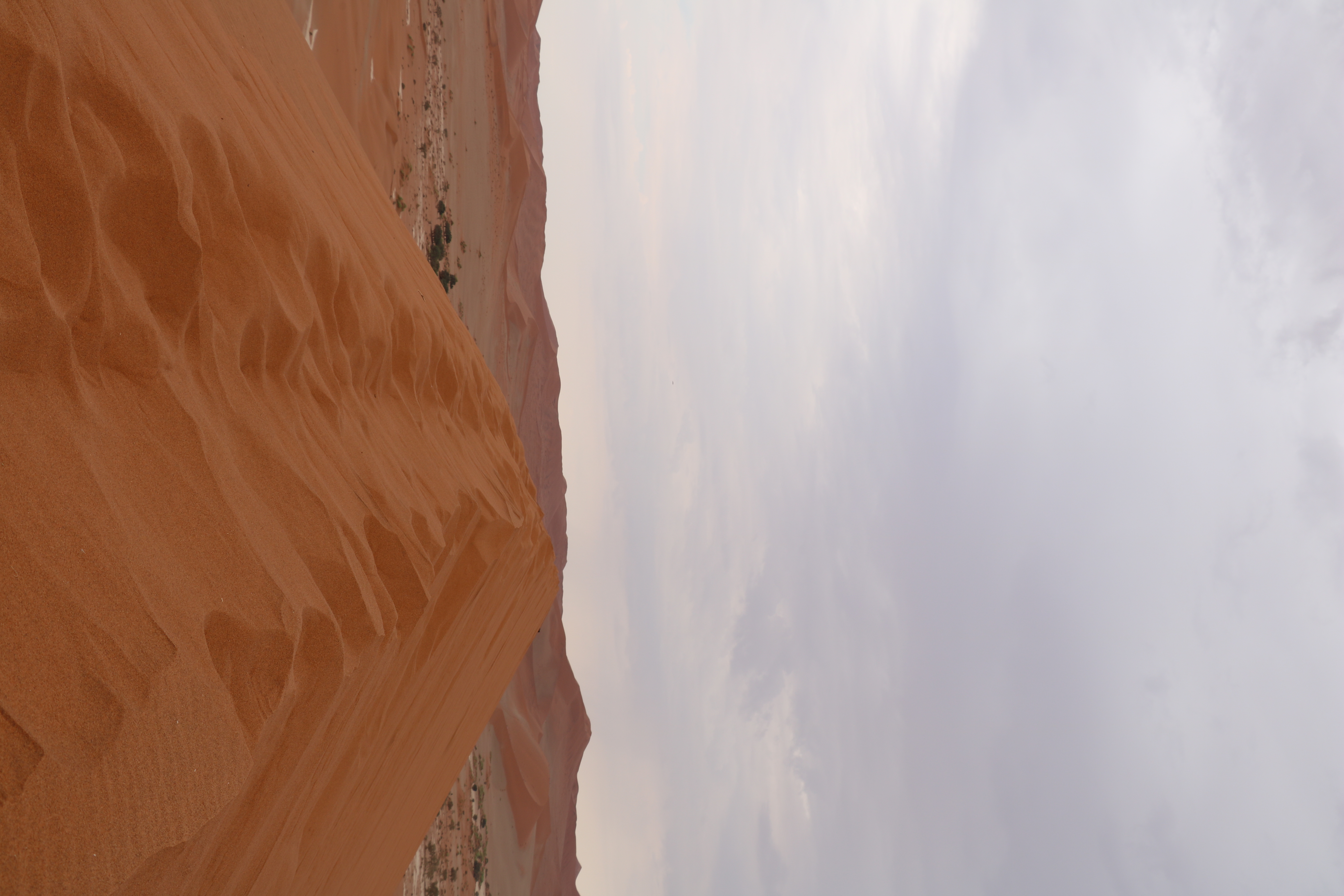 Hike Big Daddy Dune
