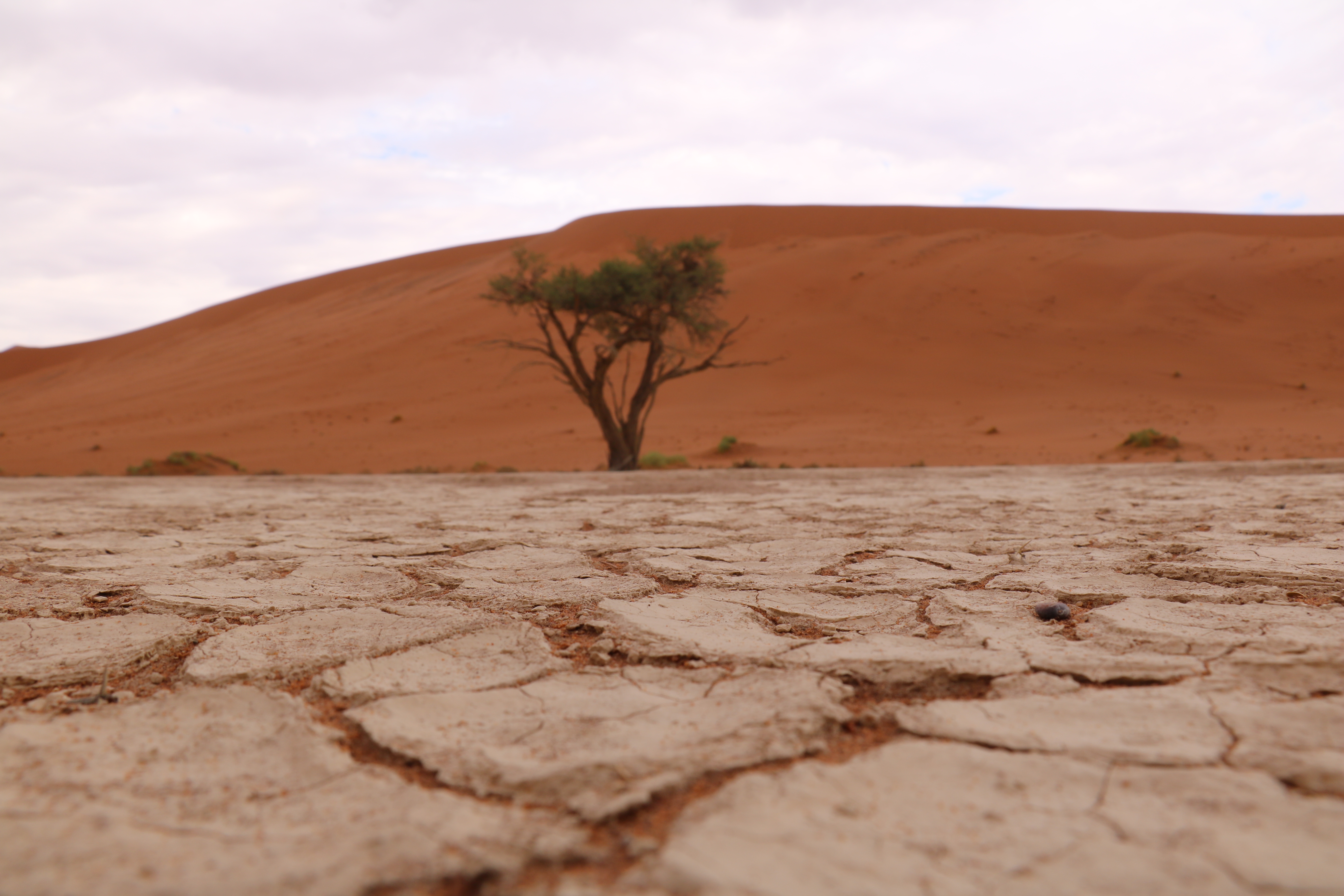 Hike Big Daddy Dune