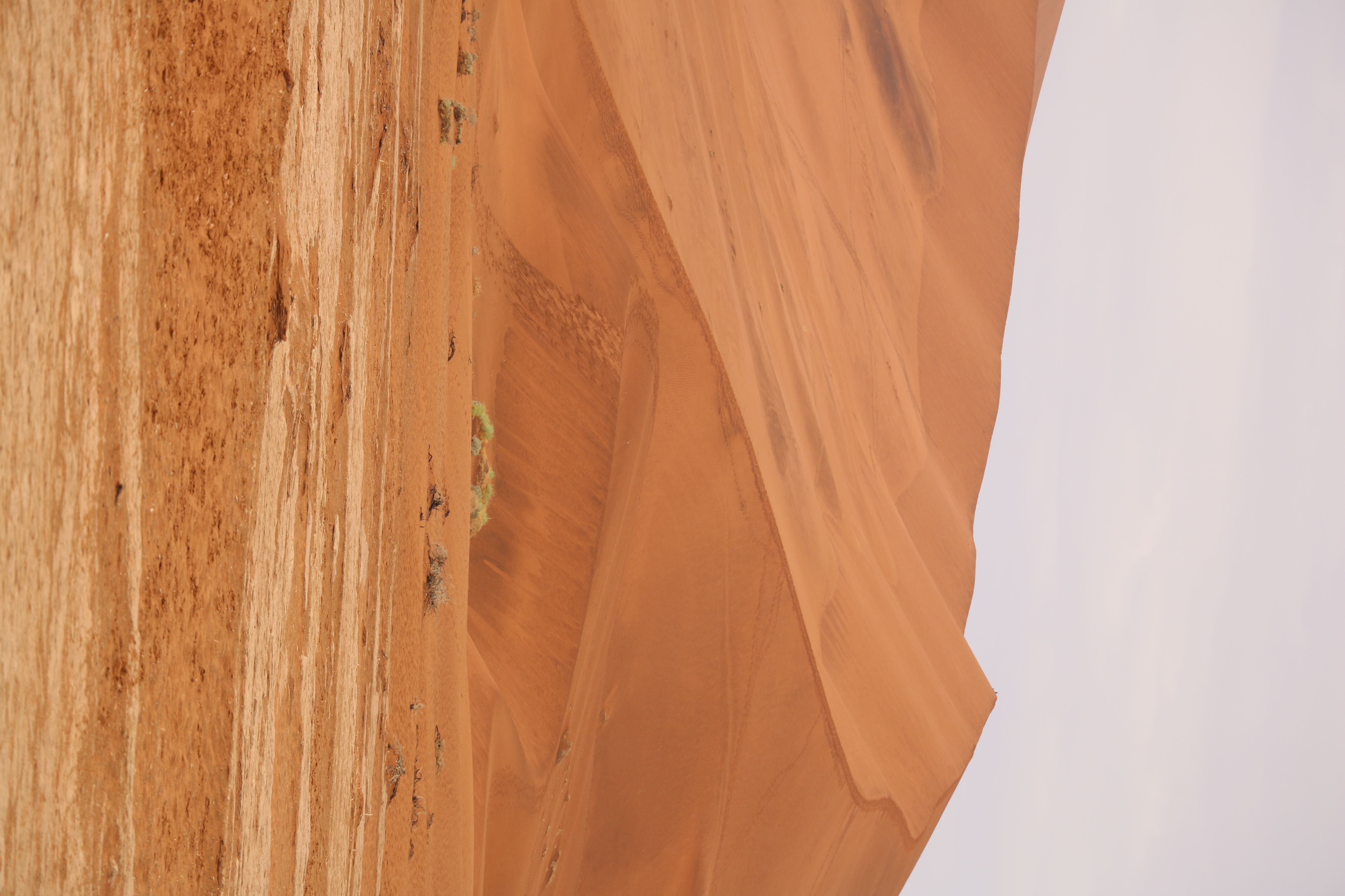 Hike Big Daddy Dune