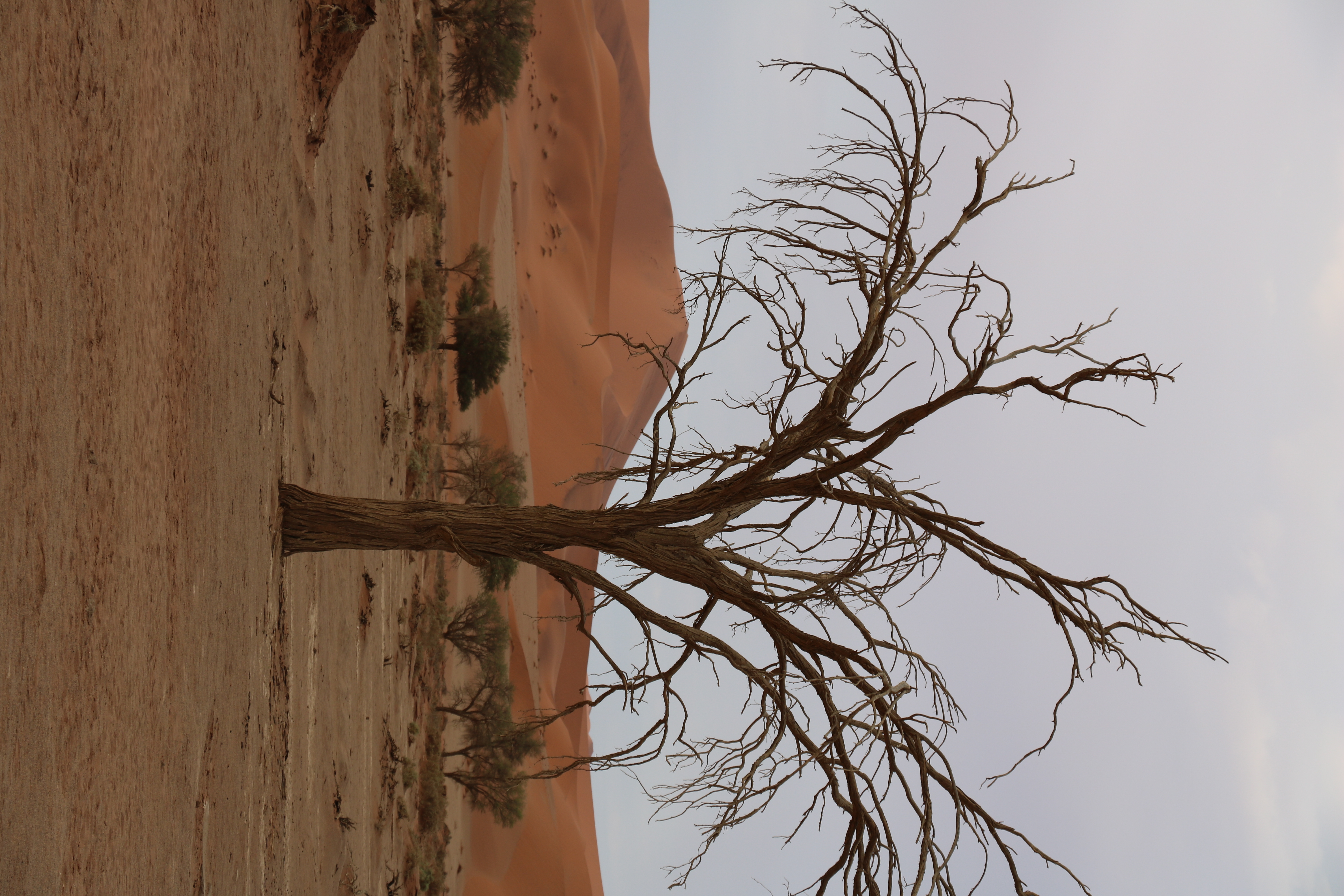 Hike Big Daddy Dune
