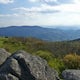 Hike the Appalachian Trail from Elk Garden to Buzzard Rock