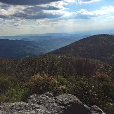 Hike the Appalachian Trail from Elk Garden to Buzzard Rock