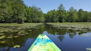 Paddle Poplar Creek on Lake Marion